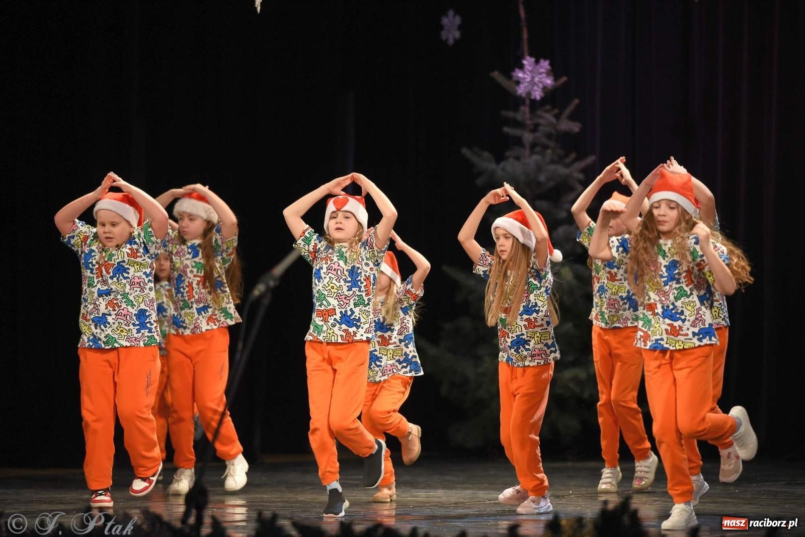 Zdjęcie w galerii na portalu naszraciborz.pl: Strzecha i Skaza na wspólnym koncercie w RCK wiadomości z regionu