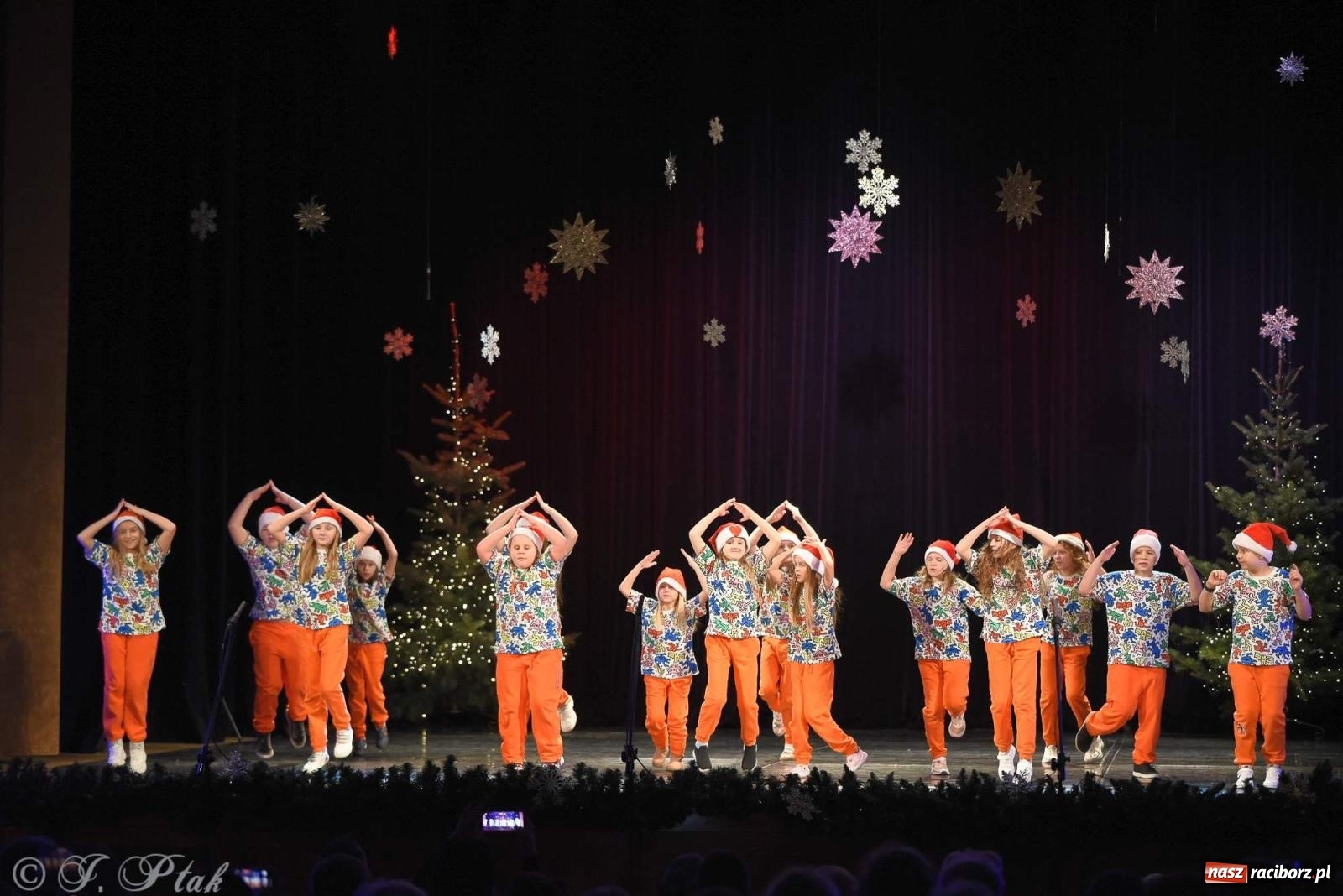 Zdjęcie w galerii na portalu naszraciborz.pl: Strzecha i Skaza na wspólnym koncercie w RCK wiadomości z regionu