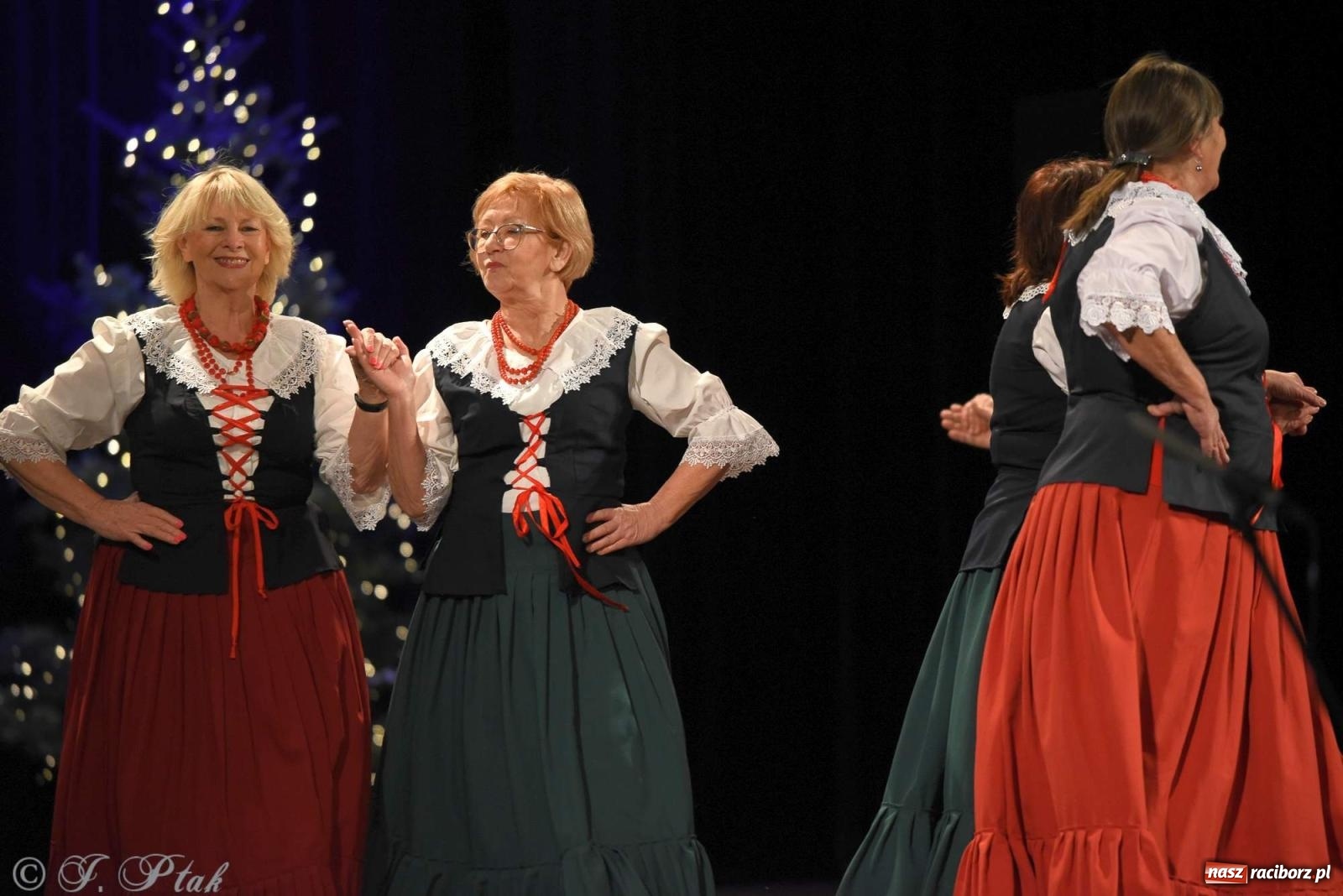 Zdjęcie w galerii na portalu naszraciborz.pl: Strzecha i Skaza na wspólnym koncercie w RCK wiadomości z regionu