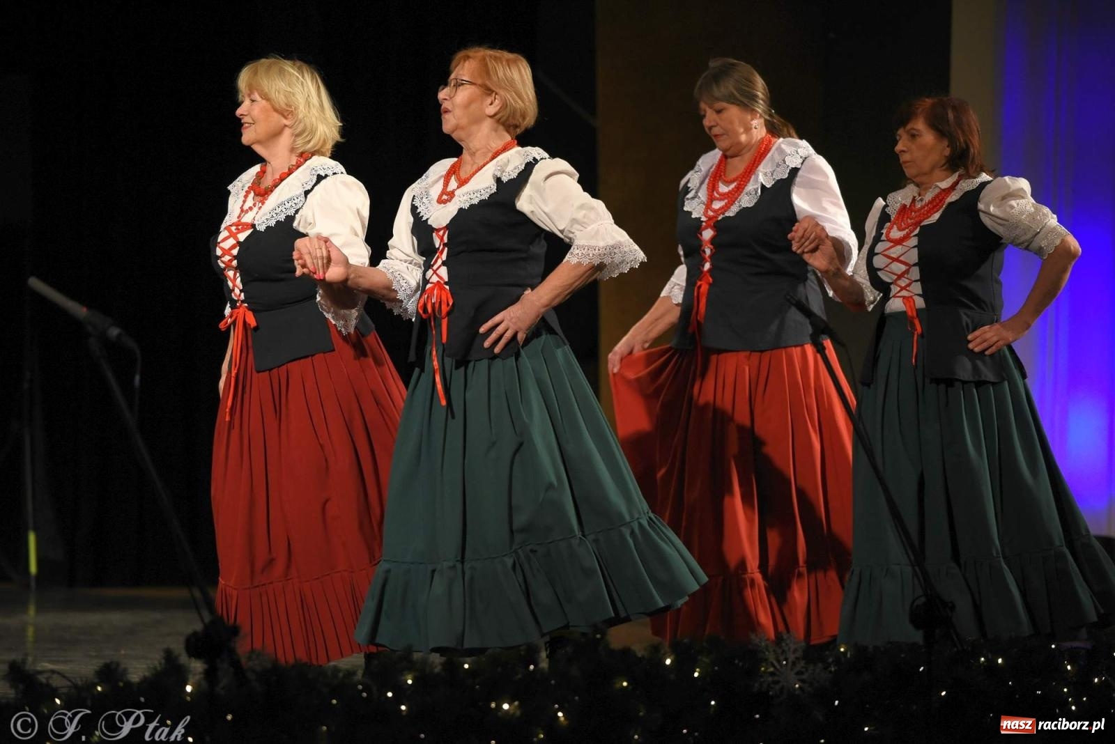 Zdjęcie w galerii na portalu naszraciborz.pl: Strzecha i Skaza na wspólnym koncercie w RCK wiadomości z regionu