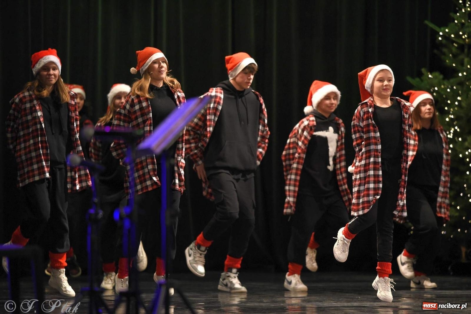 Zdjęcie w galerii na portalu naszraciborz.pl: Strzecha i Skaza na wspólnym koncercie w RCK wiadomości z regionu