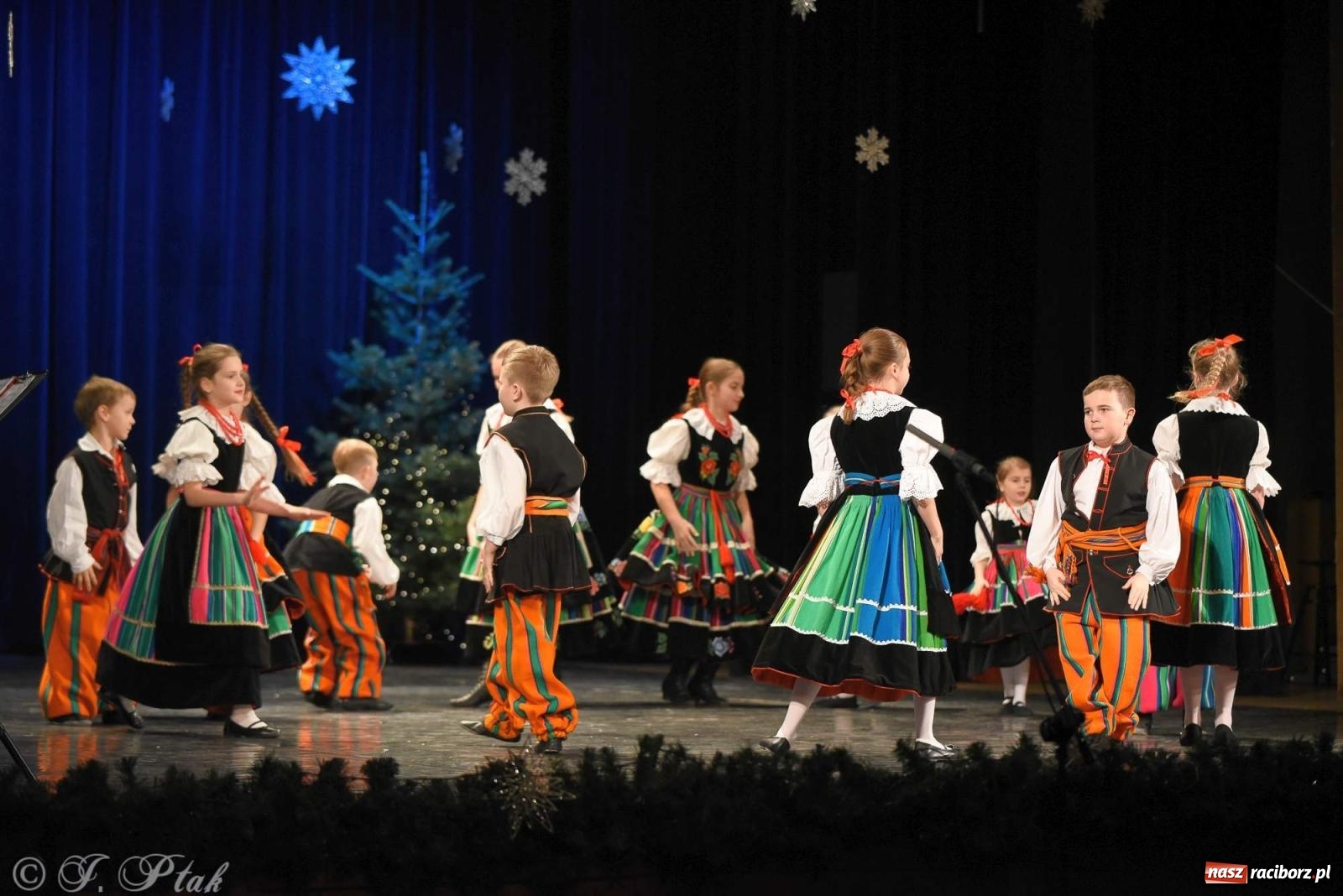 Zdjęcie w galerii na portalu naszraciborz.pl: Strzecha i Skaza na wspólnym koncercie w RCK wiadomości z regionu