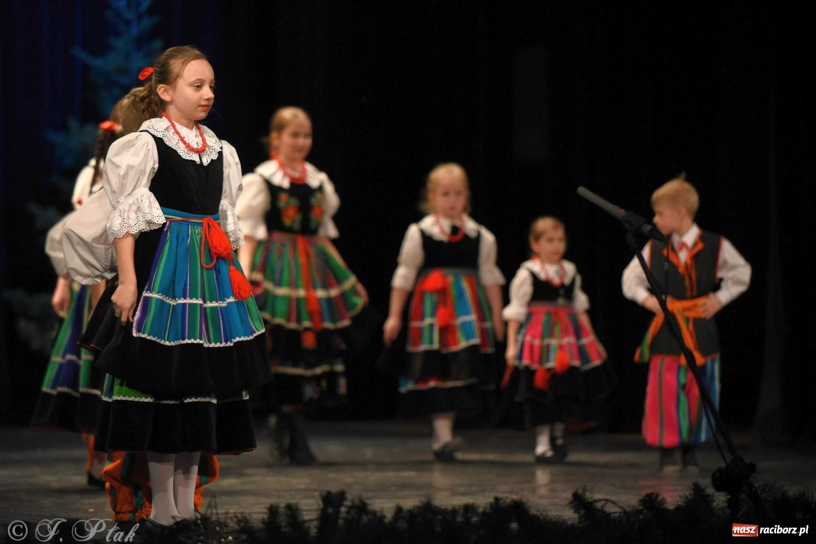 Zdjęcie w galerii na portalu naszraciborz.pl: Strzecha i Skaza na wspólnym koncercie w RCK wiadomości z regionu
