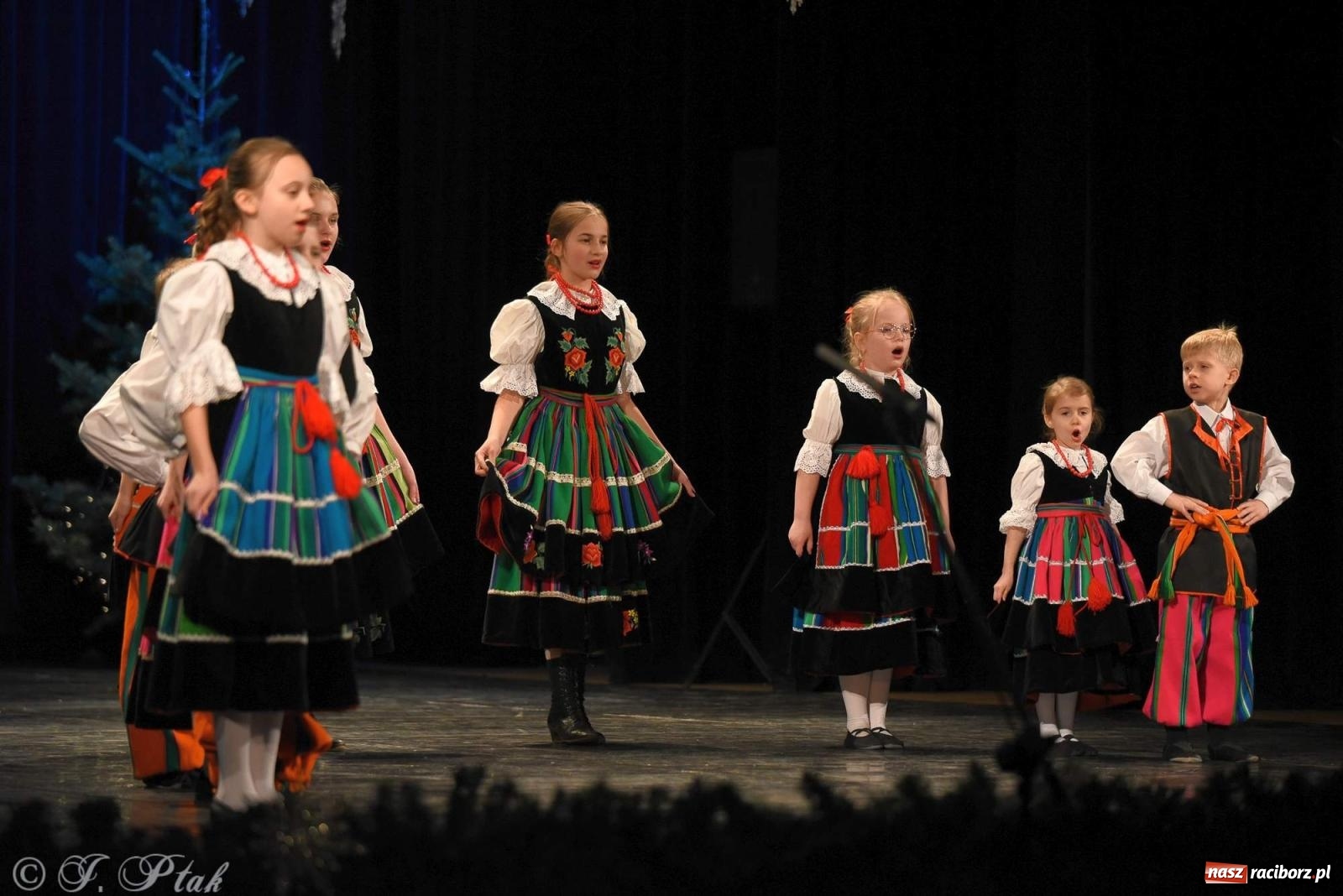 Zdjęcie w galerii na portalu naszraciborz.pl: Strzecha i Skaza na wspólnym koncercie w RCK wiadomości z regionu