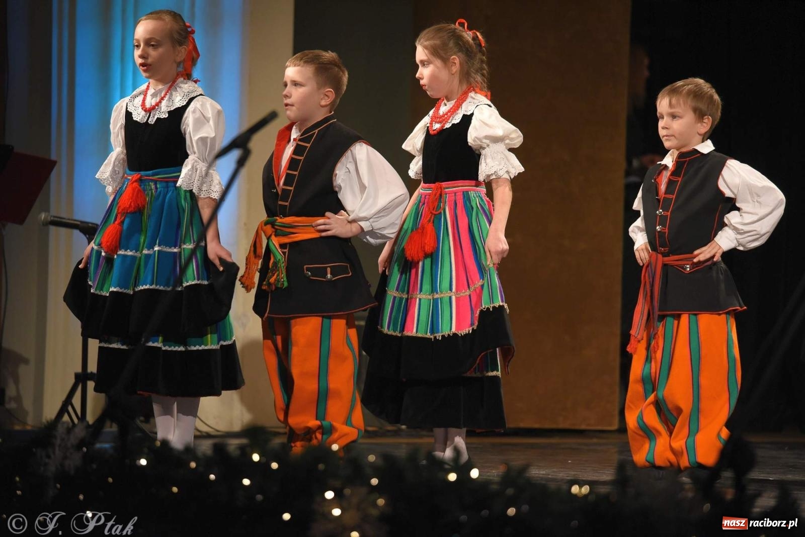 Zdjęcie w galerii na portalu naszraciborz.pl: Strzecha i Skaza na wspólnym koncercie w RCK wiadomości z regionu