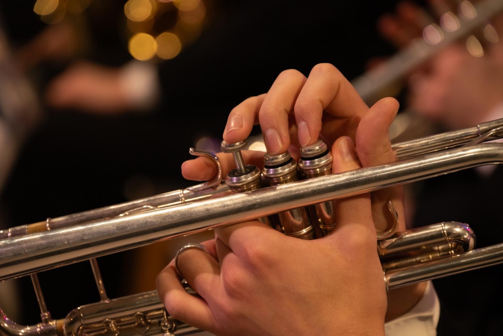 Zdjęcie w galerii na portalu naszraciborz.pl: Noworoczny koncert Gminy Krzyżanowice tym razem w nowym miejscu wiadomości z regionu