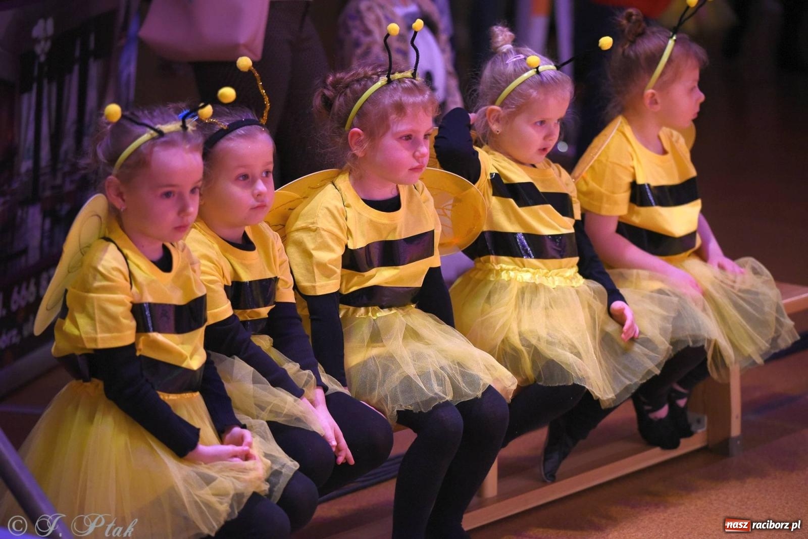 Zdjęcie w galerii na portalu naszraciborz.pl: XVI Karnawałowa Rewia Tańca w Raciborzu [FOTO i WIDEO] wiadomości z regionu