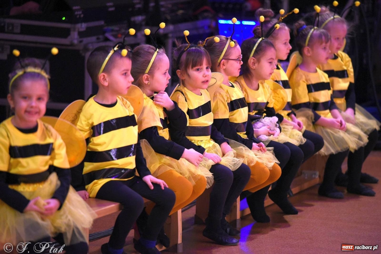 Zdjęcie w galerii na portalu naszraciborz.pl: XVI Karnawałowa Rewia Tańca w Raciborzu [FOTO i WIDEO] wiadomości z regionu