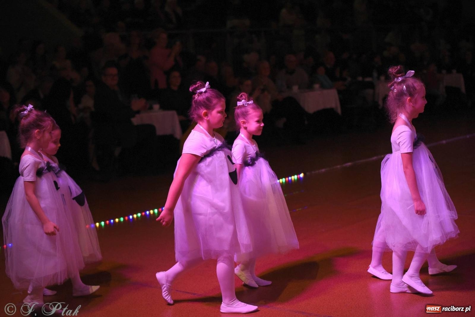Zdjęcie w galerii na portalu naszraciborz.pl: XVI Karnawałowa Rewia Tańca w Raciborzu [FOTO i WIDEO] wiadomości z regionu