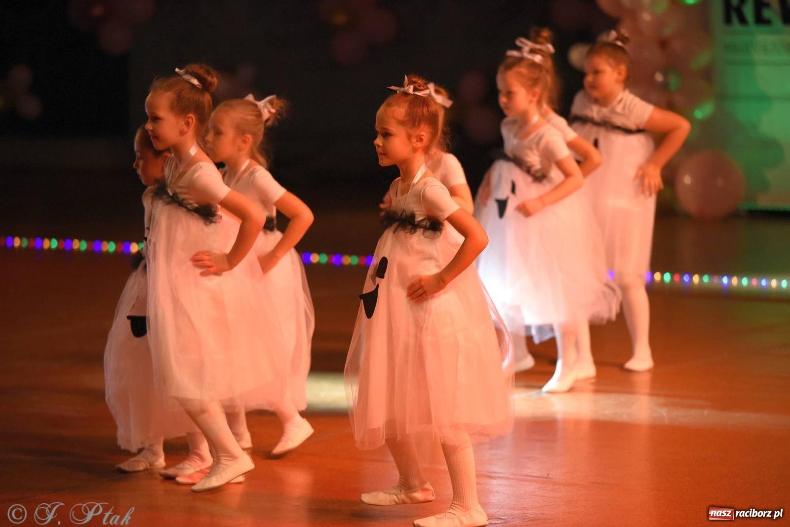 Zdjęcie w galerii na portalu naszraciborz.pl: XVI Karnawałowa Rewia Tańca w Raciborzu [FOTO i WIDEO] wiadomości z regionu