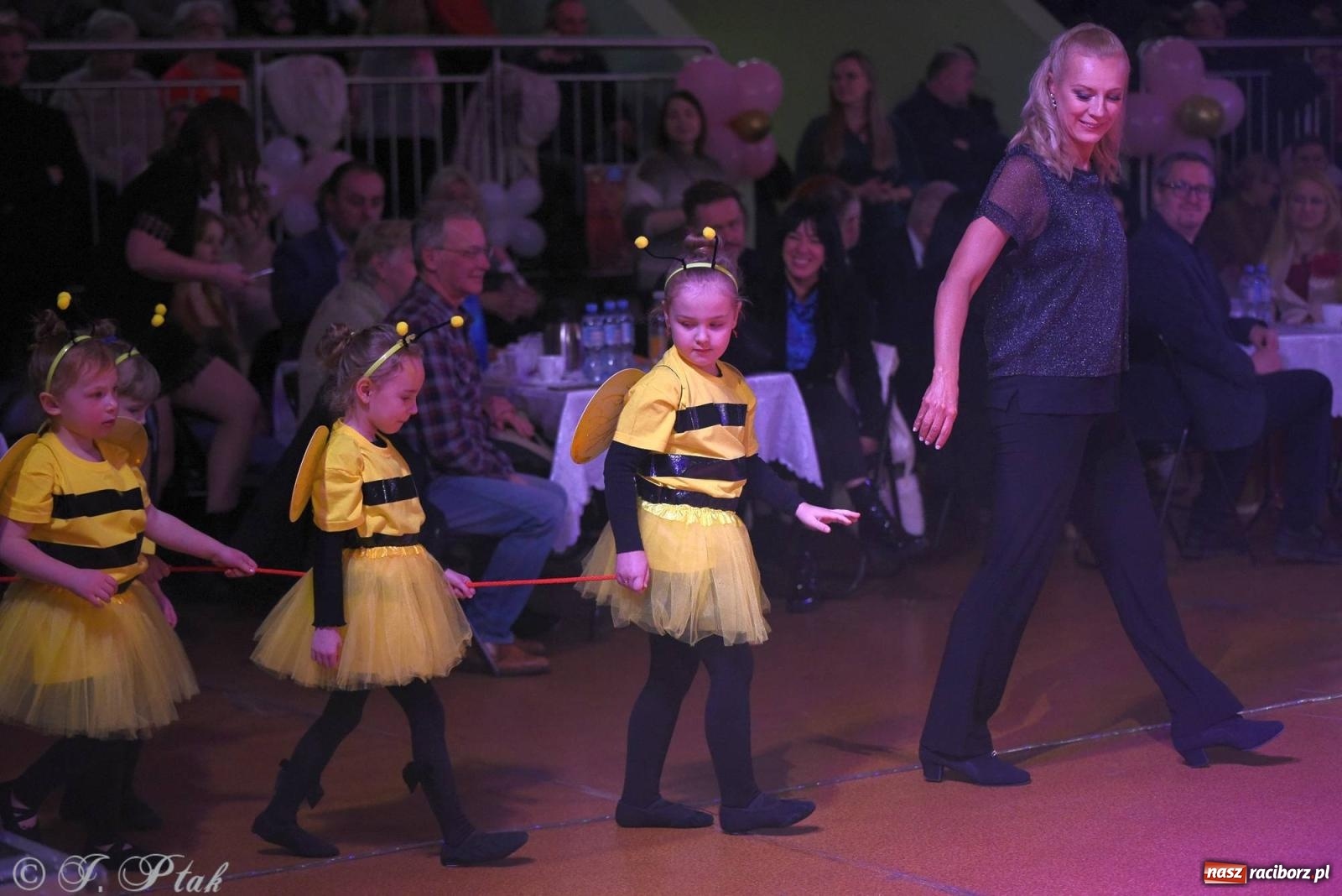 Zdjęcie w galerii na portalu naszraciborz.pl: XVI Karnawałowa Rewia Tańca w Raciborzu [FOTO i WIDEO] wiadomości z regionu