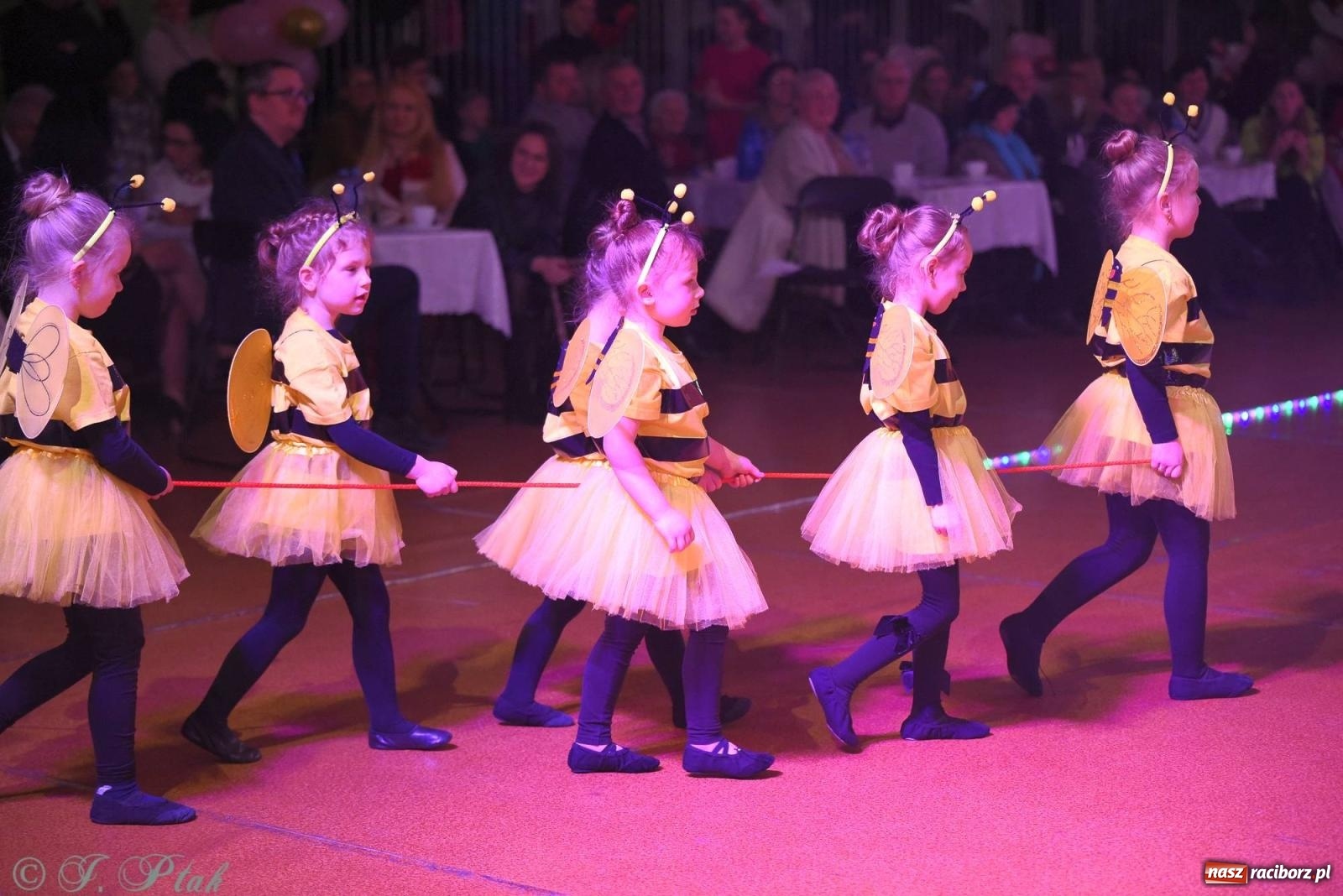 Zdjęcie w galerii na portalu naszraciborz.pl: XVI Karnawałowa Rewia Tańca w Raciborzu [FOTO i WIDEO] wiadomości z regionu
