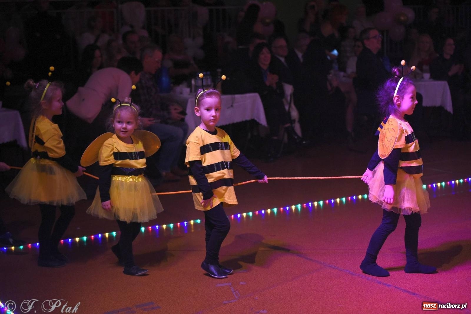Zdjęcie w galerii na portalu naszraciborz.pl: XVI Karnawałowa Rewia Tańca w Raciborzu [FOTO i WIDEO] wiadomości z regionu