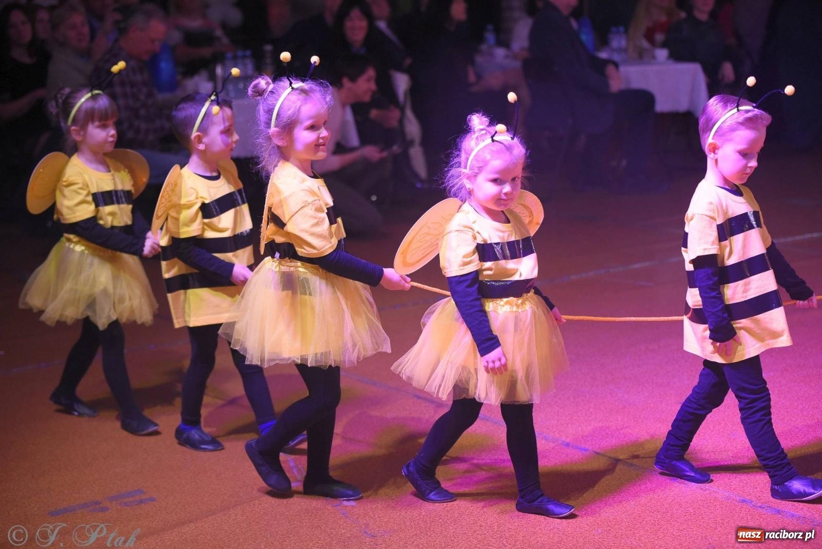 Zdjęcie w galerii na portalu naszraciborz.pl: XVI Karnawałowa Rewia Tańca w Raciborzu [FOTO i WIDEO] wiadomości z regionu