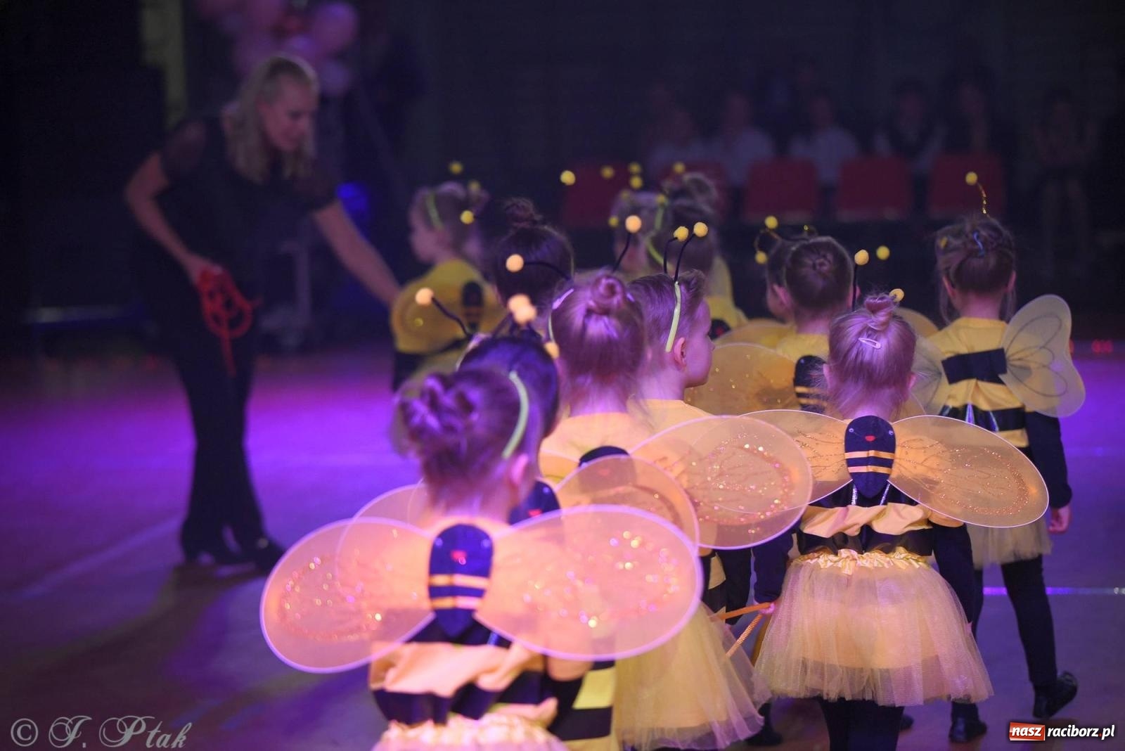 Zdjęcie w galerii na portalu naszraciborz.pl: XVI Karnawałowa Rewia Tańca w Raciborzu [FOTO i WIDEO] wiadomości z regionu
