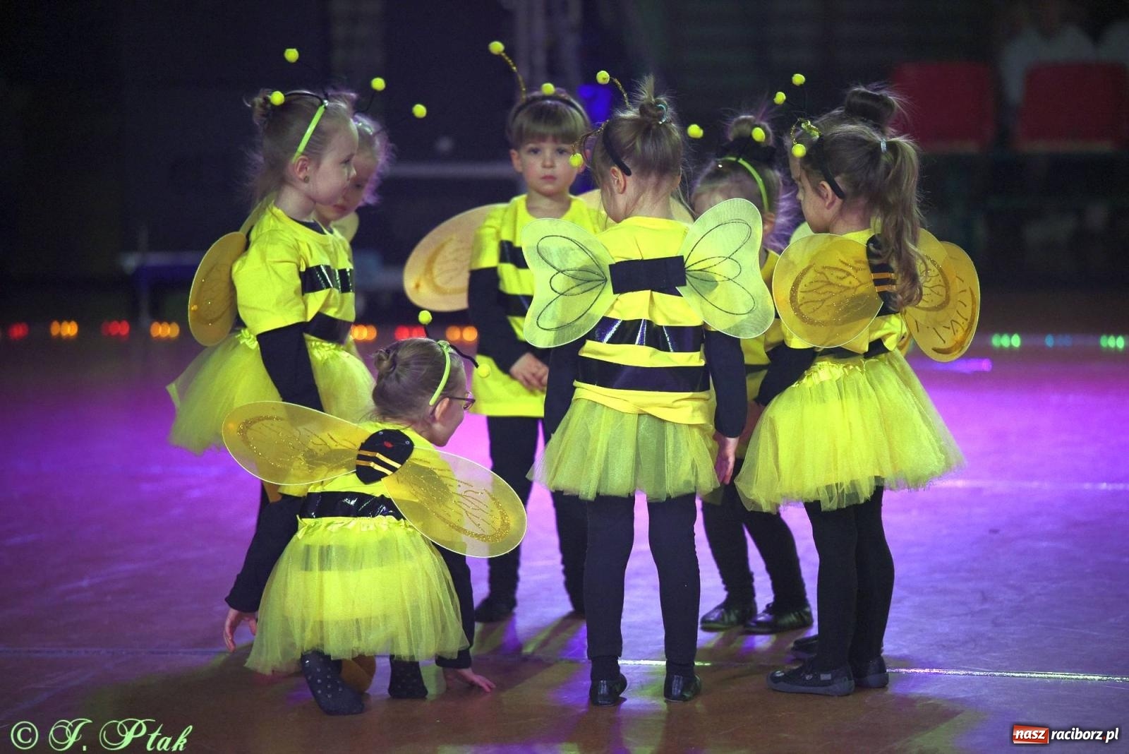 Zdjęcie w galerii na portalu naszraciborz.pl: XVI Karnawałowa Rewia Tańca w Raciborzu [FOTO i WIDEO] wiadomości z regionu