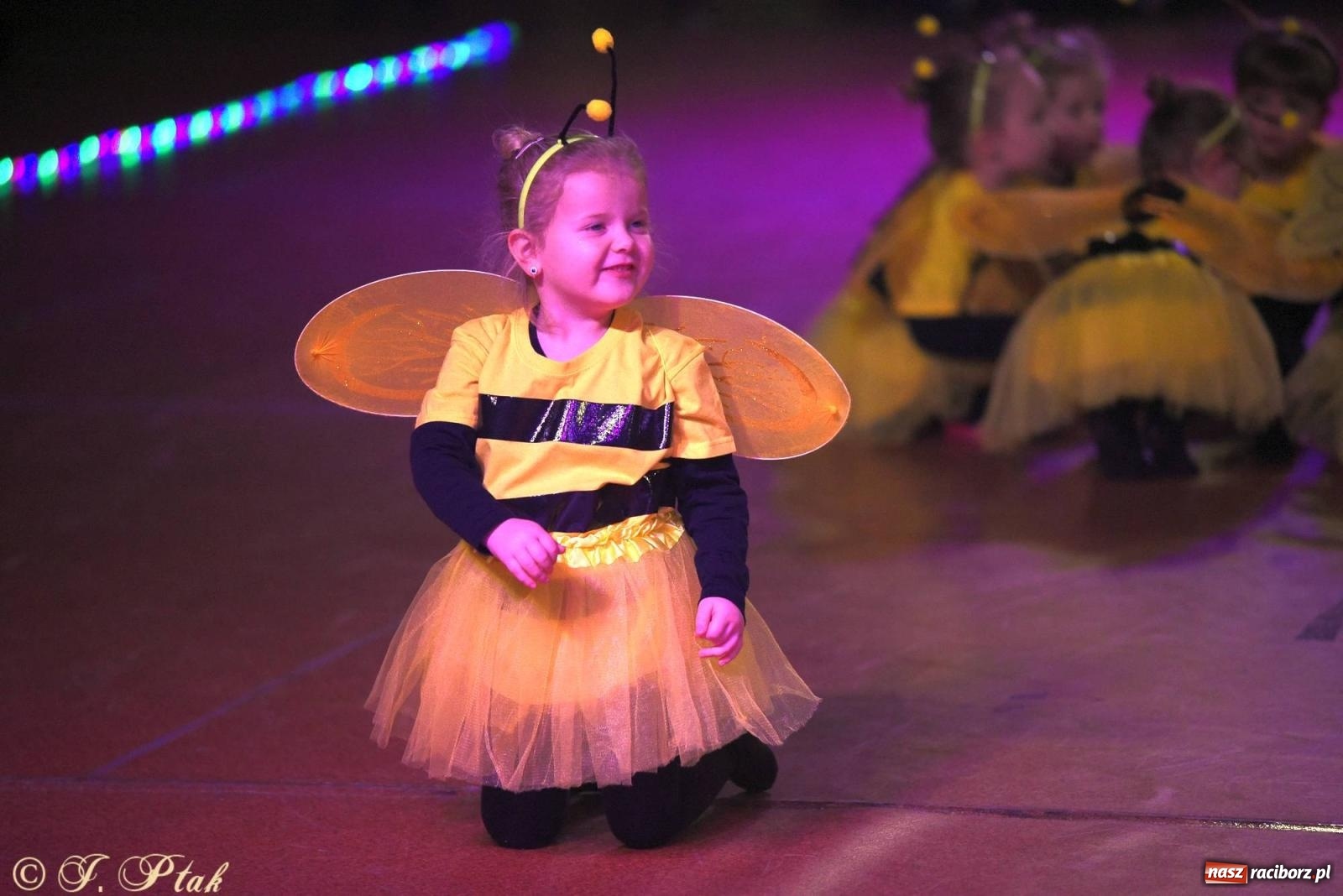 Zdjęcie w galerii na portalu naszraciborz.pl: XVI Karnawałowa Rewia Tańca w Raciborzu [FOTO i WIDEO] wiadomości z regionu