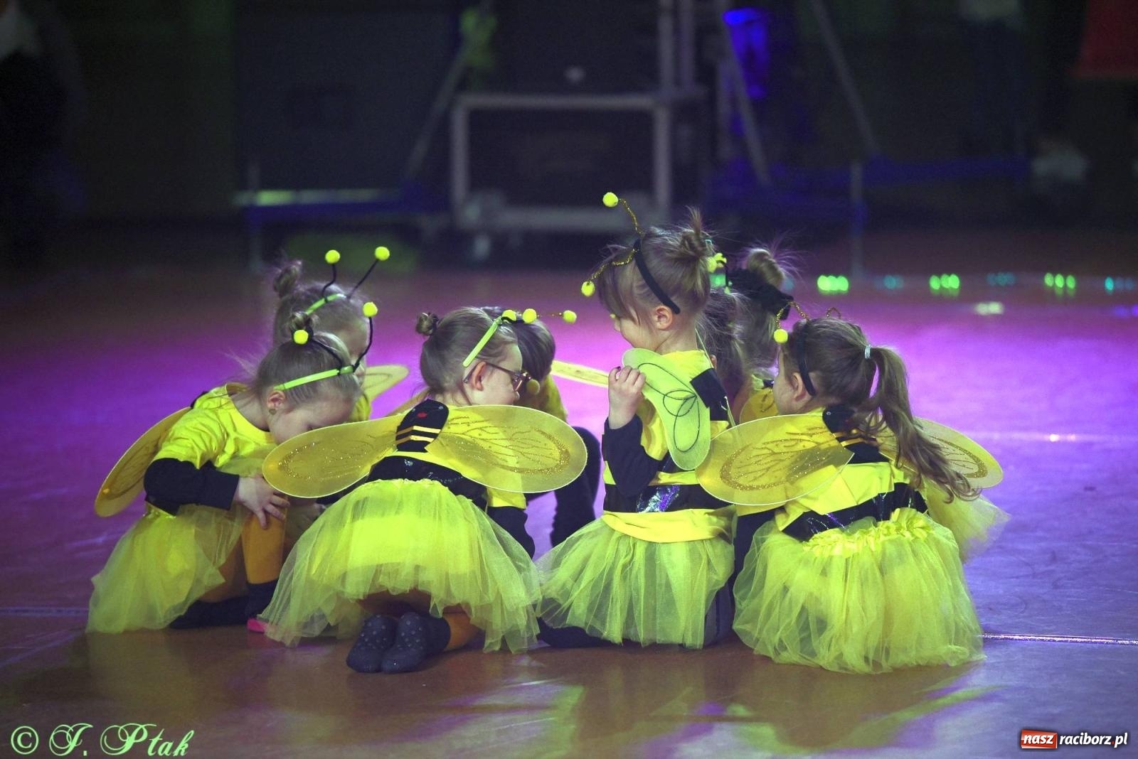 Zdjęcie w galerii na portalu naszraciborz.pl: XVI Karnawałowa Rewia Tańca w Raciborzu [FOTO i WIDEO] wiadomości z regionu