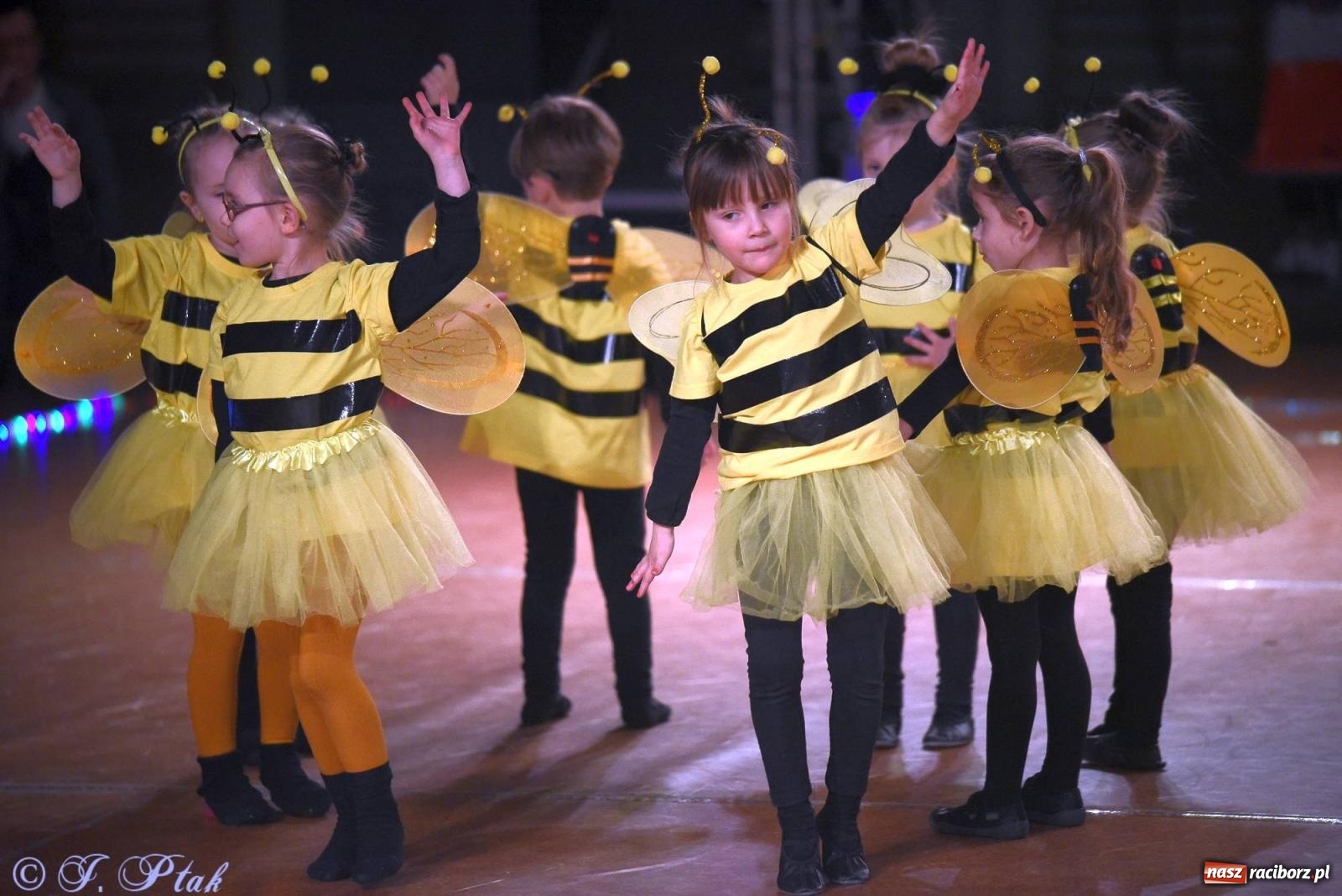 Zdjęcie w galerii na portalu naszraciborz.pl: XVI Karnawałowa Rewia Tańca w Raciborzu [FOTO i WIDEO] wiadomości z regionu