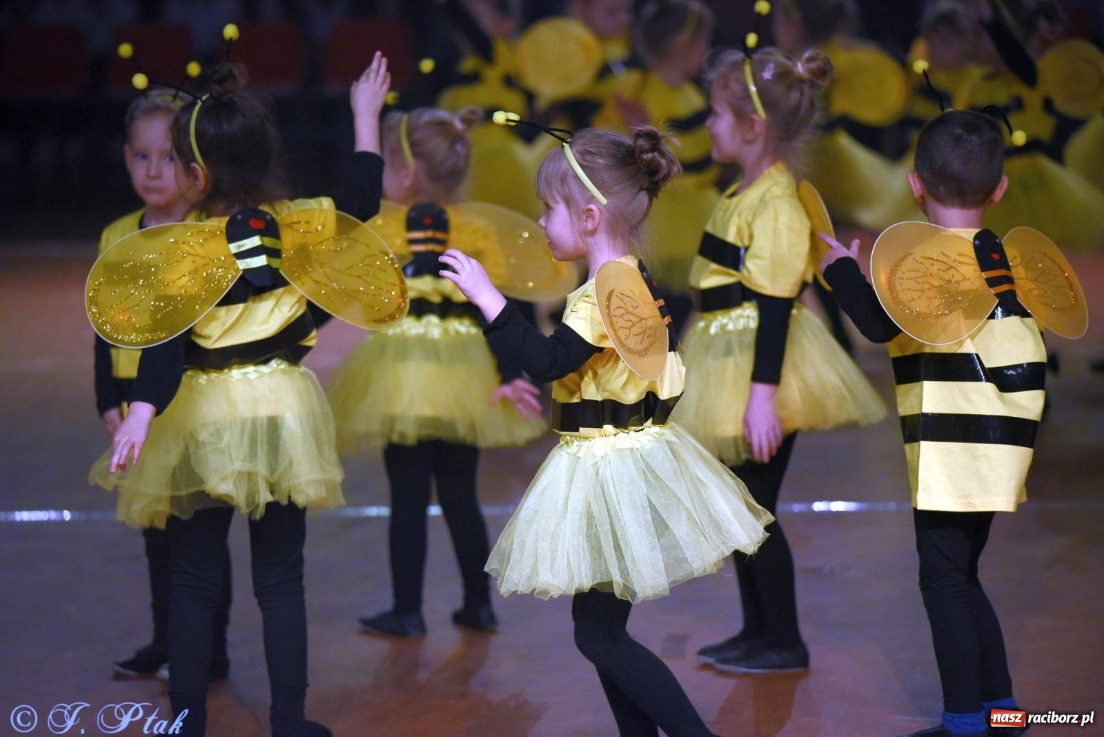 Zdjęcie w galerii na portalu naszraciborz.pl: XVI Karnawałowa Rewia Tańca w Raciborzu [FOTO i WIDEO] wiadomości z regionu
