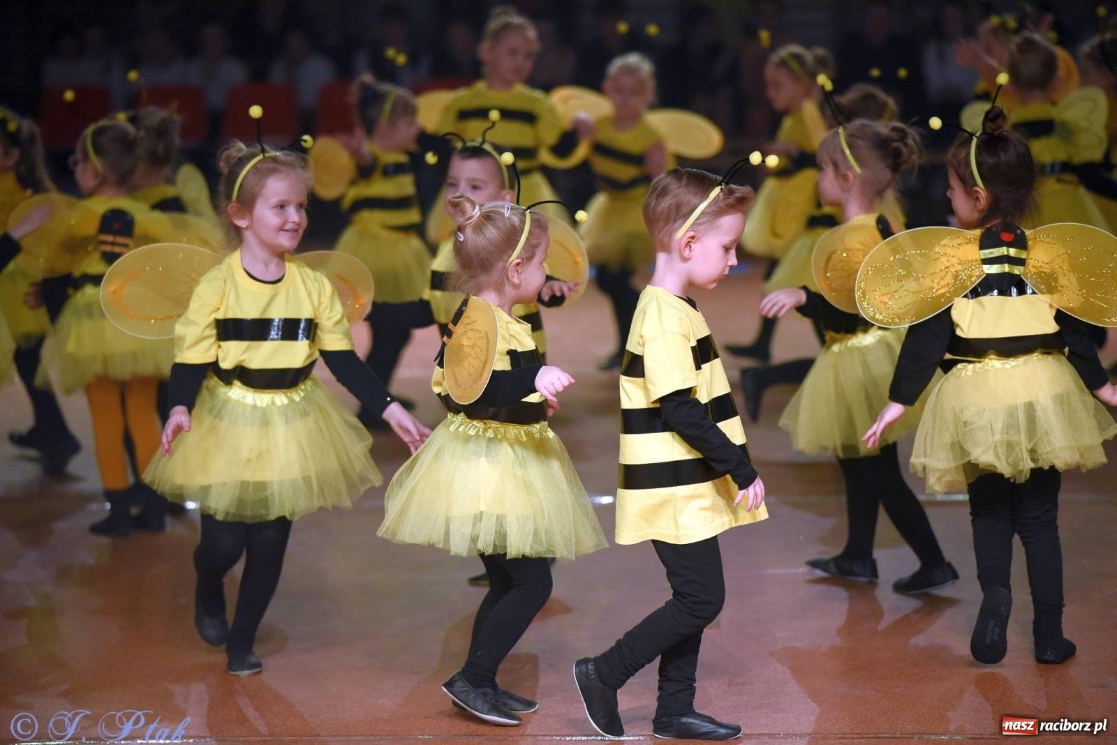 Zdjęcie w galerii na portalu naszraciborz.pl: XVI Karnawałowa Rewia Tańca w Raciborzu [FOTO i WIDEO] wiadomości z regionu
