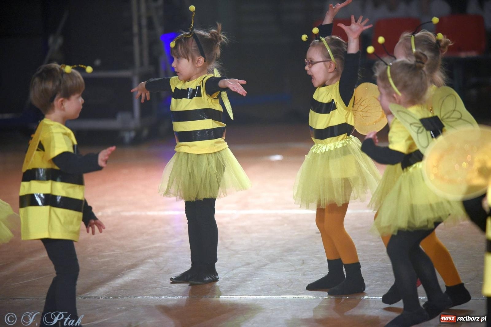 Zdjęcie w galerii na portalu naszraciborz.pl: XVI Karnawałowa Rewia Tańca w Raciborzu [FOTO i WIDEO] wiadomości z regionu
