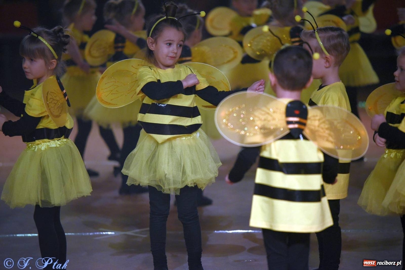 Zdjęcie w galerii na portalu naszraciborz.pl: XVI Karnawałowa Rewia Tańca w Raciborzu [FOTO i WIDEO] wiadomości z regionu