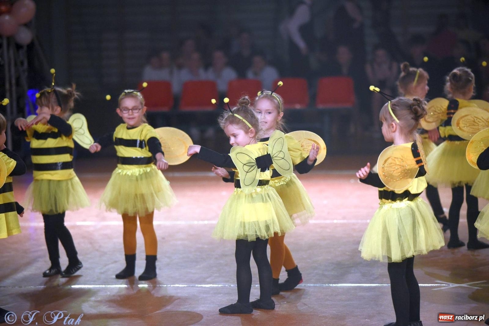 Zdjęcie w galerii na portalu naszraciborz.pl: XVI Karnawałowa Rewia Tańca w Raciborzu [FOTO i WIDEO] wiadomości z regionu