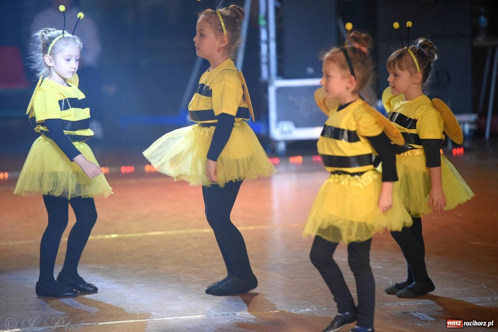 Zdjęcie w galerii na portalu naszraciborz.pl: XVI Karnawałowa Rewia Tańca w Raciborzu [FOTO i WIDEO] wiadomości z regionu