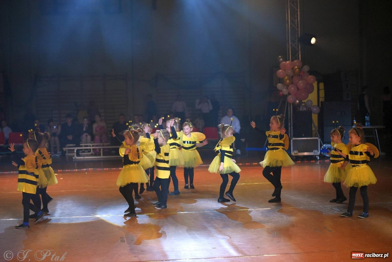 Zdjęcie w galerii na portalu naszraciborz.pl: XVI Karnawałowa Rewia Tańca w Raciborzu [FOTO i WIDEO] wiadomości z regionu