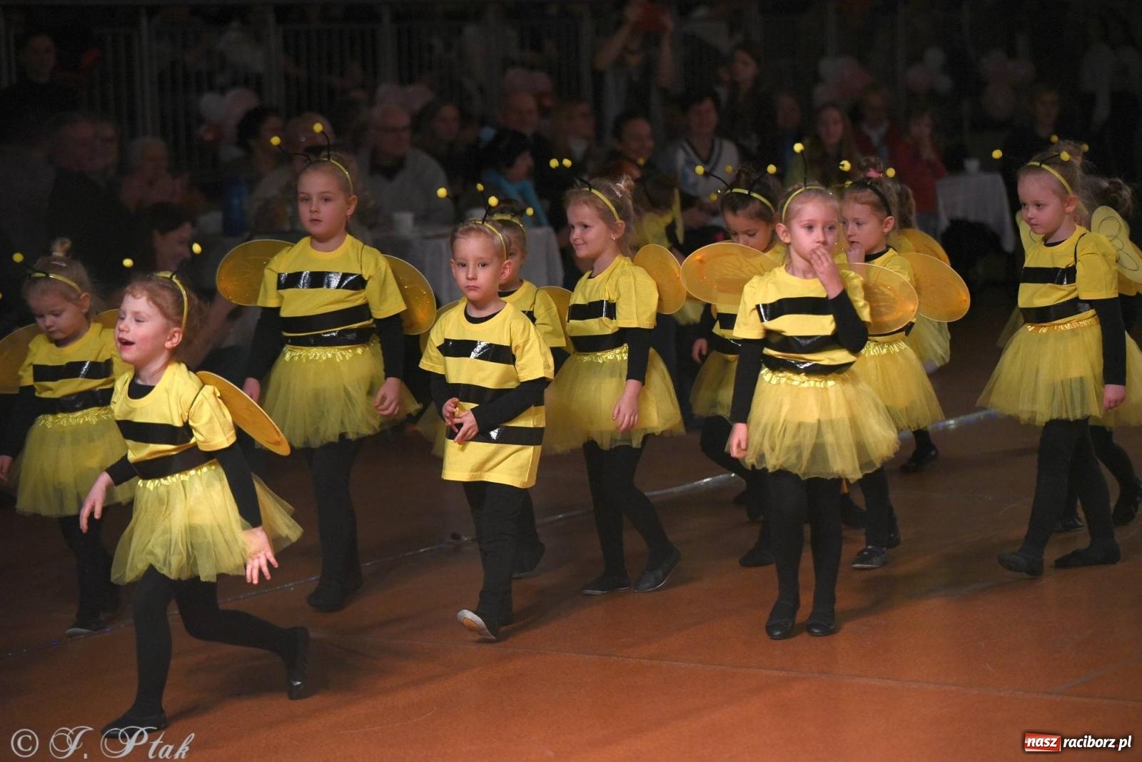 Zdjęcie w galerii na portalu naszraciborz.pl: XVI Karnawałowa Rewia Tańca w Raciborzu [FOTO i WIDEO] wiadomości z regionu