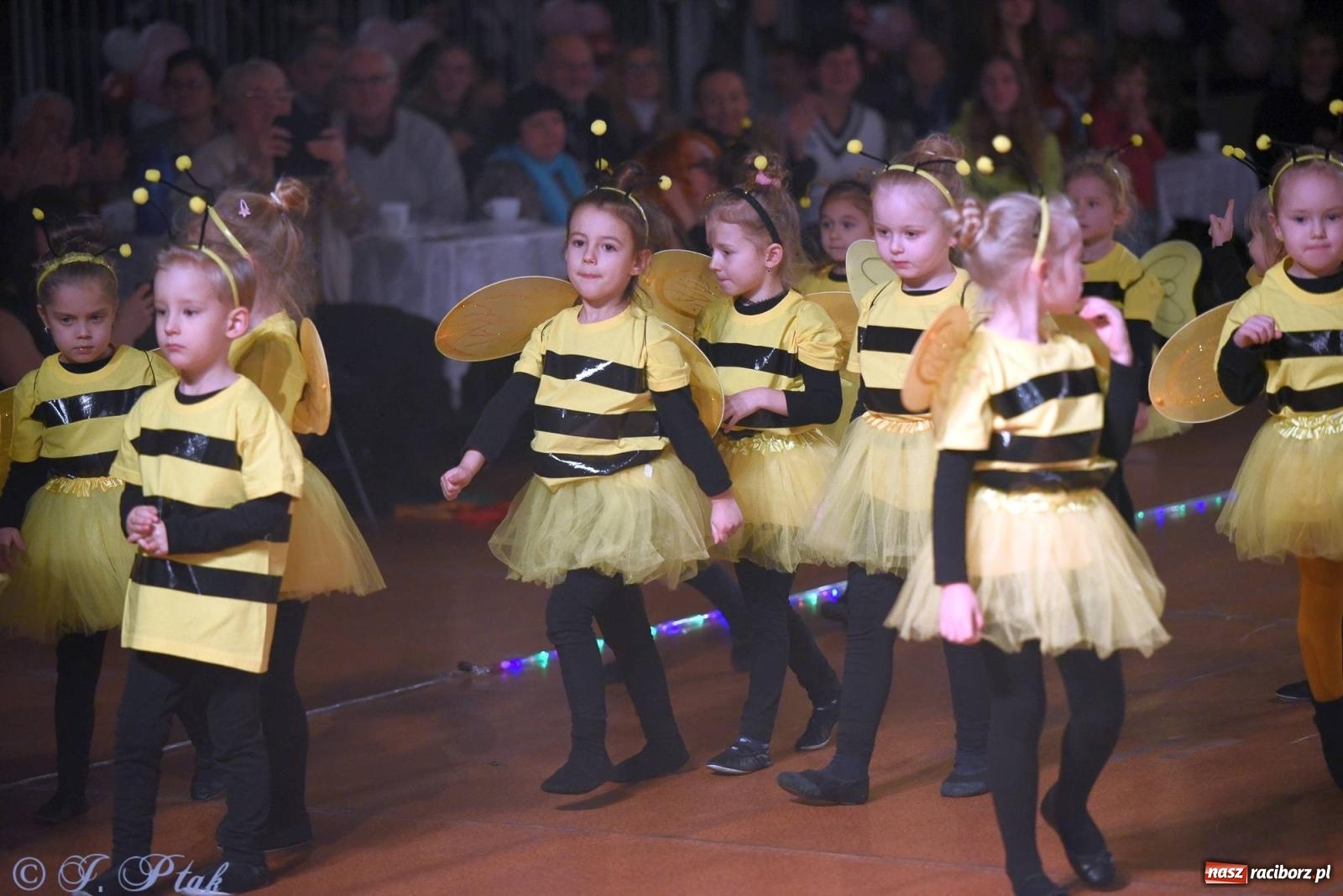 Zdjęcie w galerii na portalu naszraciborz.pl: XVI Karnawałowa Rewia Tańca w Raciborzu [FOTO i WIDEO] wiadomości z regionu
