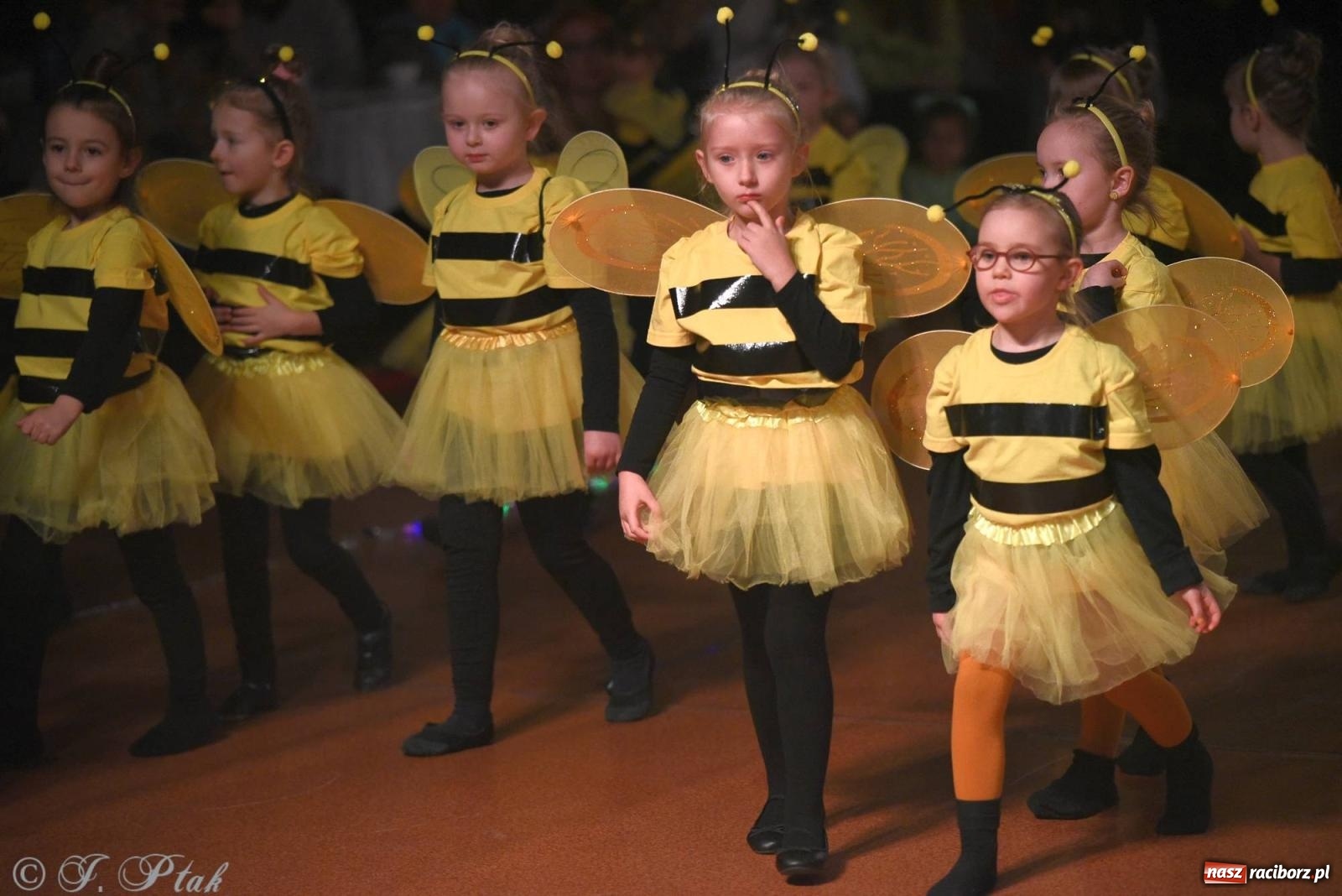 Zdjęcie w galerii na portalu naszraciborz.pl: XVI Karnawałowa Rewia Tańca w Raciborzu [FOTO i WIDEO] wiadomości z regionu