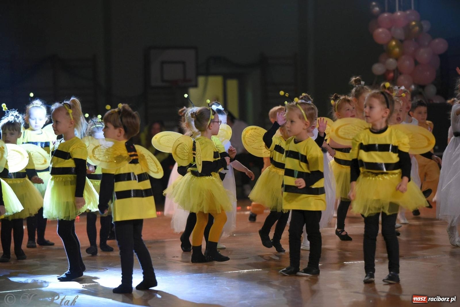 Zdjęcie w galerii na portalu naszraciborz.pl: XVI Karnawałowa Rewia Tańca w Raciborzu [FOTO i WIDEO] wiadomości z regionu