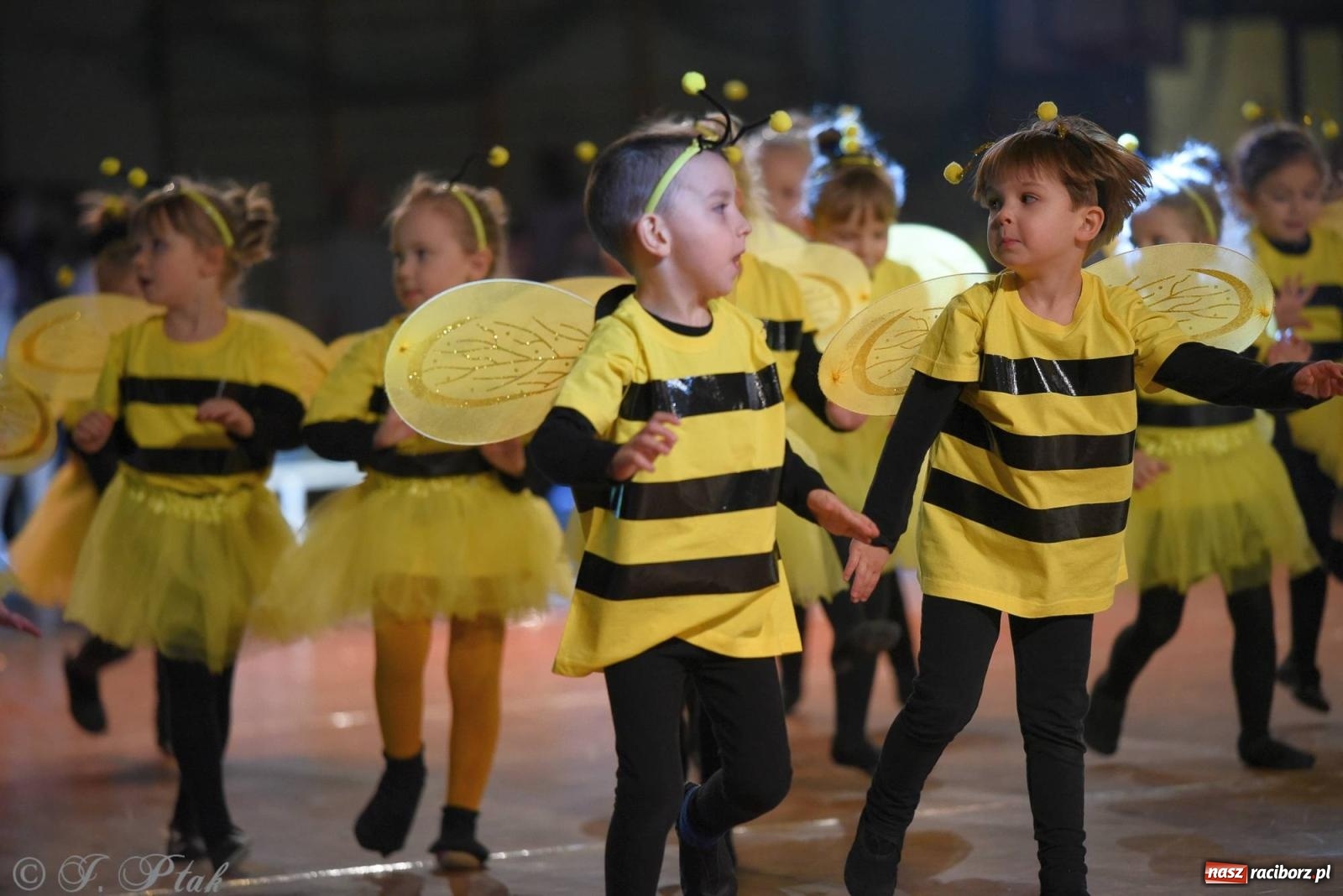Zdjęcie w galerii na portalu naszraciborz.pl: XVI Karnawałowa Rewia Tańca w Raciborzu [FOTO i WIDEO] wiadomości z regionu