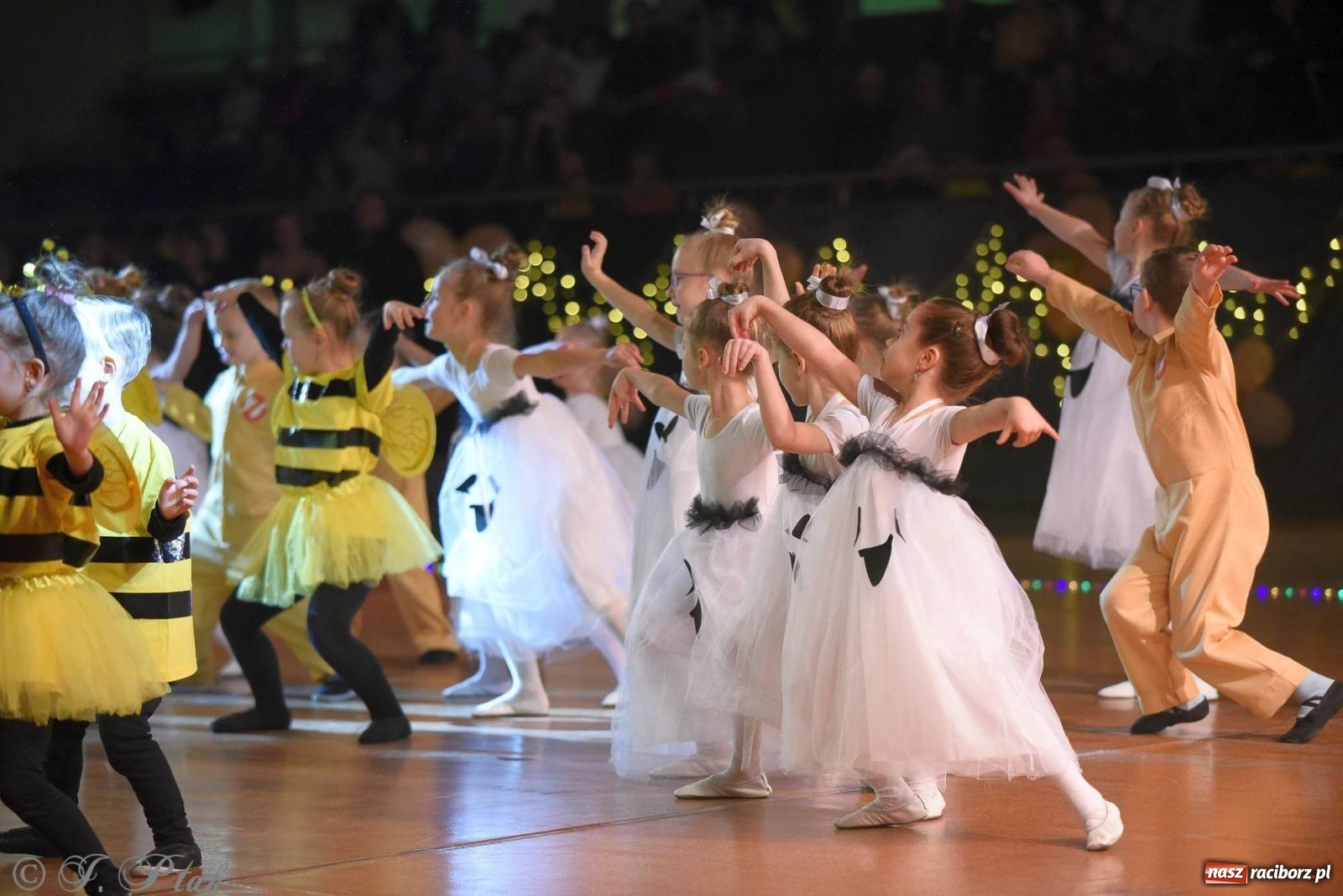 Zdjęcie w galerii na portalu naszraciborz.pl: XVI Karnawałowa Rewia Tańca w Raciborzu [FOTO i WIDEO] wiadomości z regionu