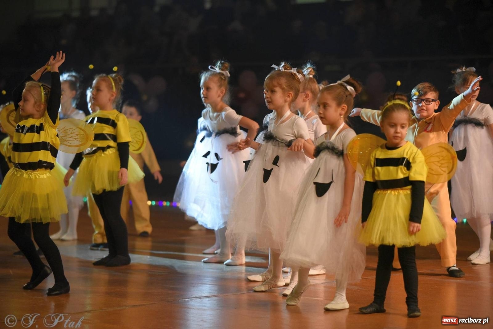 Zdjęcie w galerii na portalu naszraciborz.pl: XVI Karnawałowa Rewia Tańca w Raciborzu [FOTO i WIDEO] wiadomości z regionu