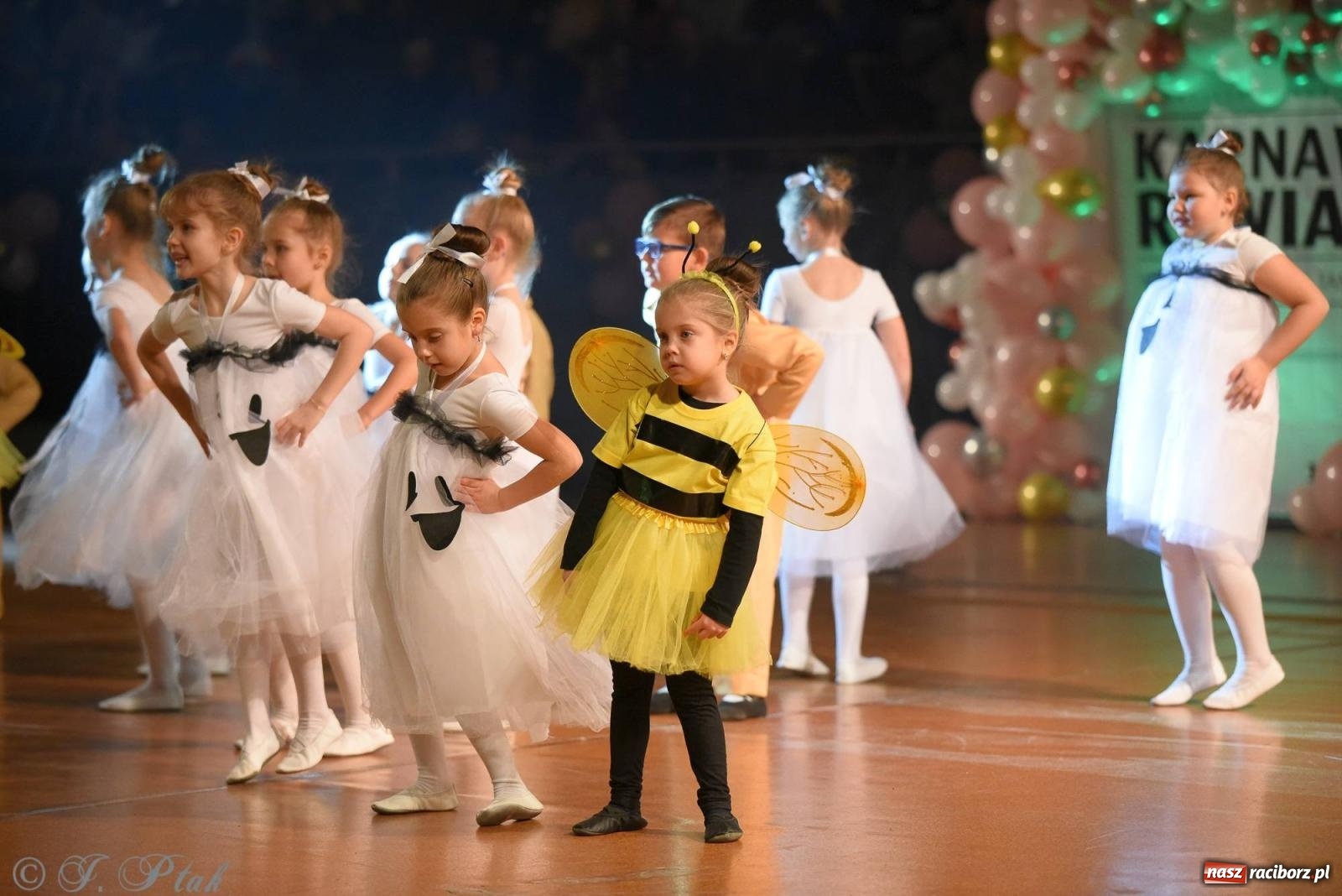 Zdjęcie w galerii na portalu naszraciborz.pl: XVI Karnawałowa Rewia Tańca w Raciborzu [FOTO i WIDEO] wiadomości z regionu
