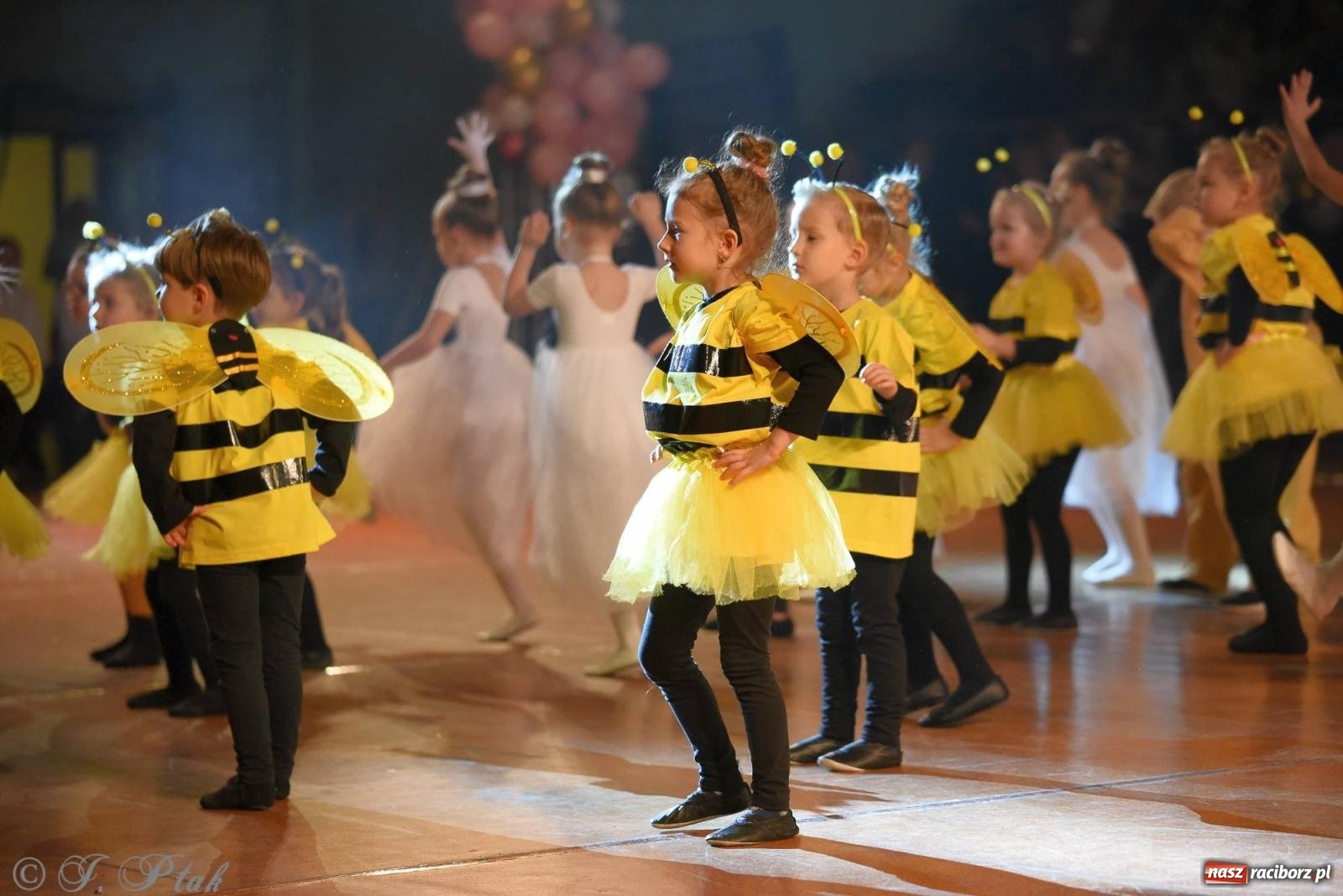 Zdjęcie w galerii na portalu naszraciborz.pl: XVI Karnawałowa Rewia Tańca w Raciborzu [FOTO i WIDEO] wiadomości z regionu