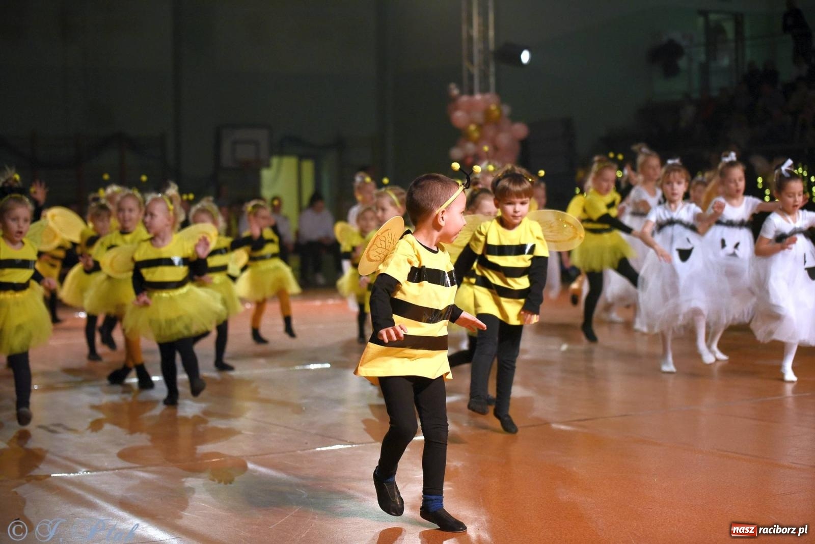 Zdjęcie w galerii na portalu naszraciborz.pl: XVI Karnawałowa Rewia Tańca w Raciborzu [FOTO i WIDEO] wiadomości z regionu
