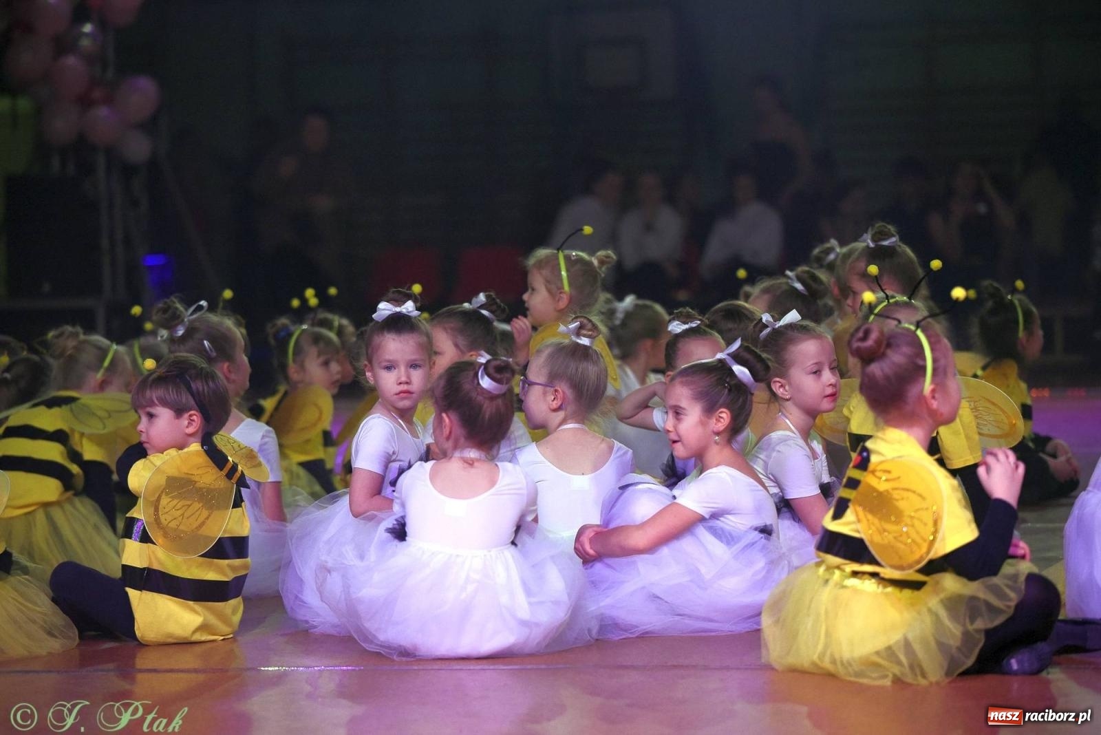 Zdjęcie w galerii na portalu naszraciborz.pl: XVI Karnawałowa Rewia Tańca w Raciborzu [FOTO i WIDEO] wiadomości z regionu