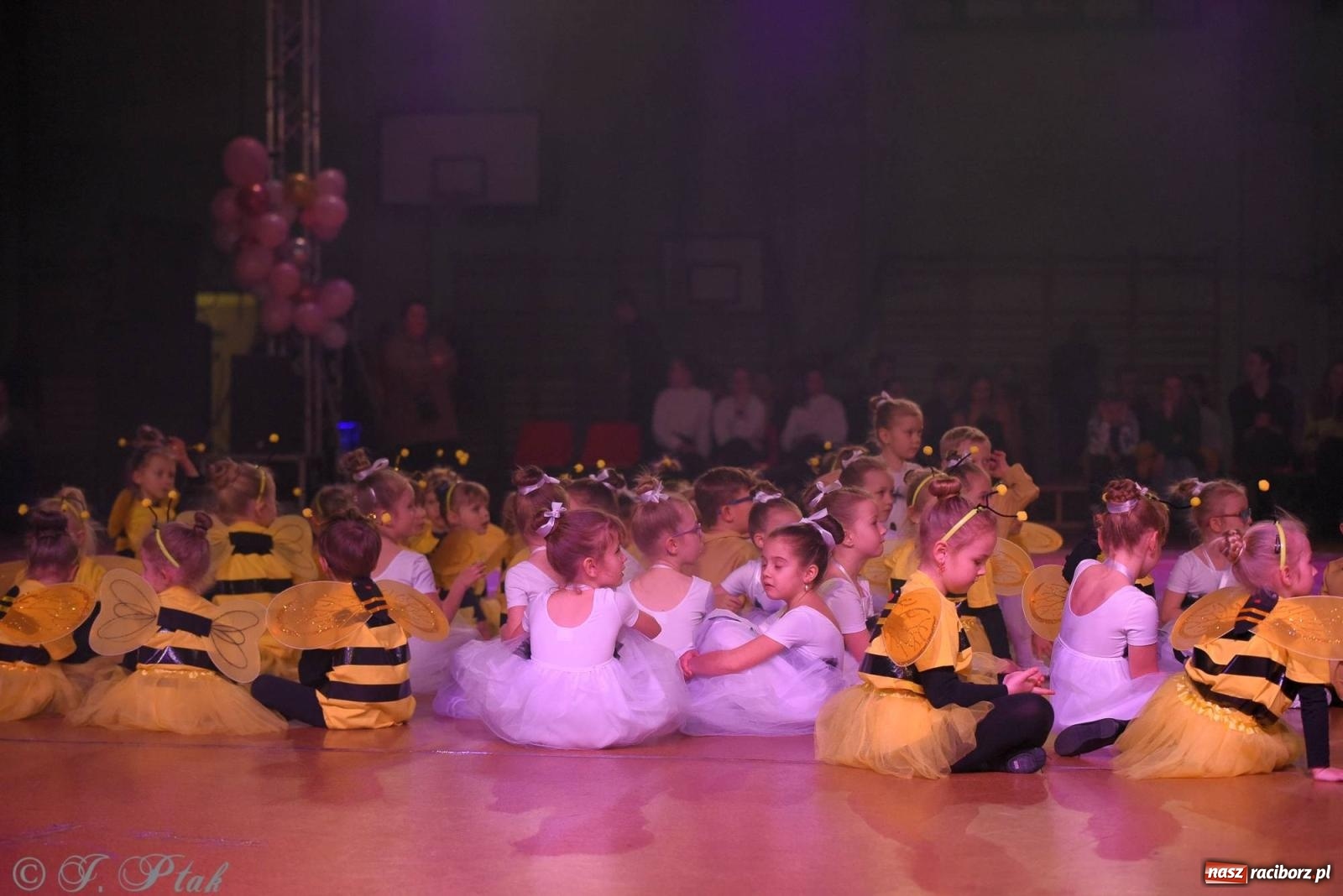 Zdjęcie w galerii na portalu naszraciborz.pl: XVI Karnawałowa Rewia Tańca w Raciborzu [FOTO i WIDEO] wiadomości z regionu