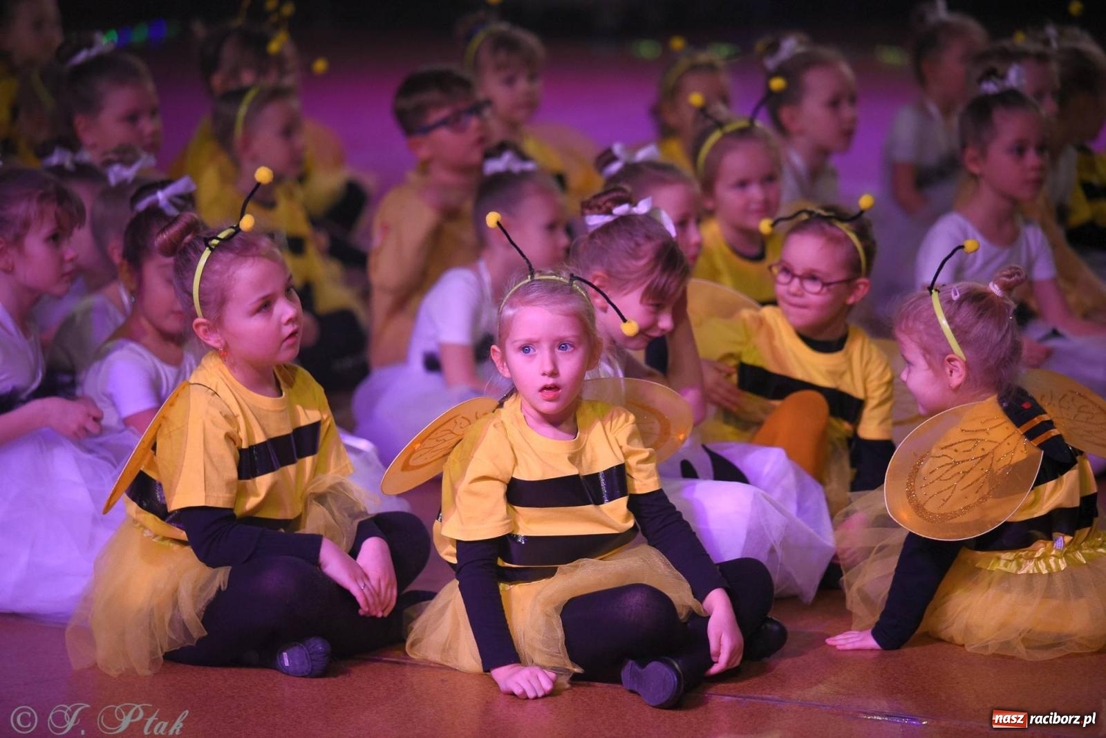 Zdjęcie w galerii na portalu naszraciborz.pl: XVI Karnawałowa Rewia Tańca w Raciborzu [FOTO i WIDEO] wiadomości z regionu