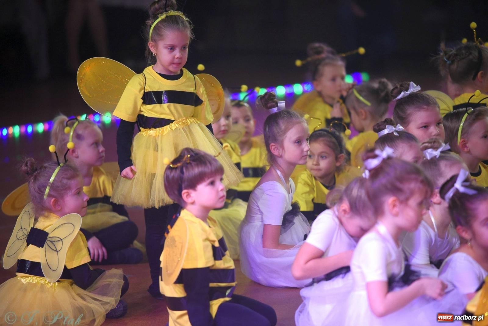 Zdjęcie w galerii na portalu naszraciborz.pl: XVI Karnawałowa Rewia Tańca w Raciborzu [FOTO i WIDEO] wiadomości z regionu