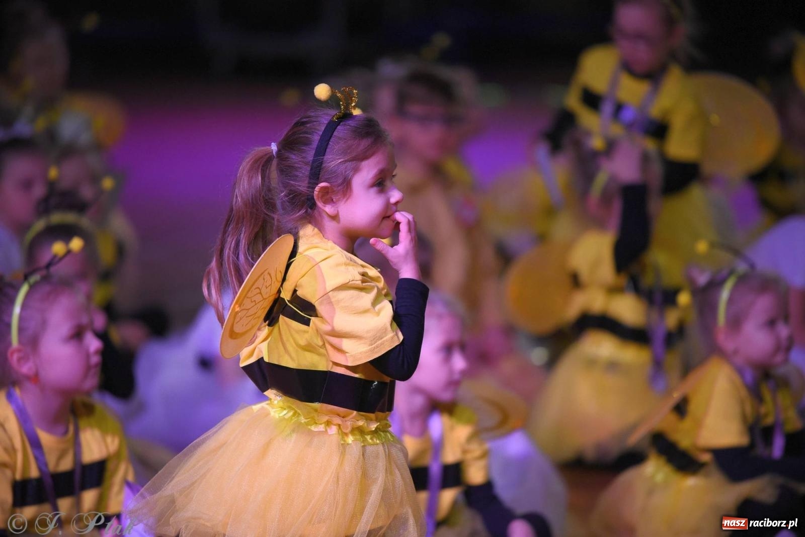 Zdjęcie w galerii na portalu naszraciborz.pl: XVI Karnawałowa Rewia Tańca w Raciborzu [FOTO i WIDEO] wiadomości z regionu