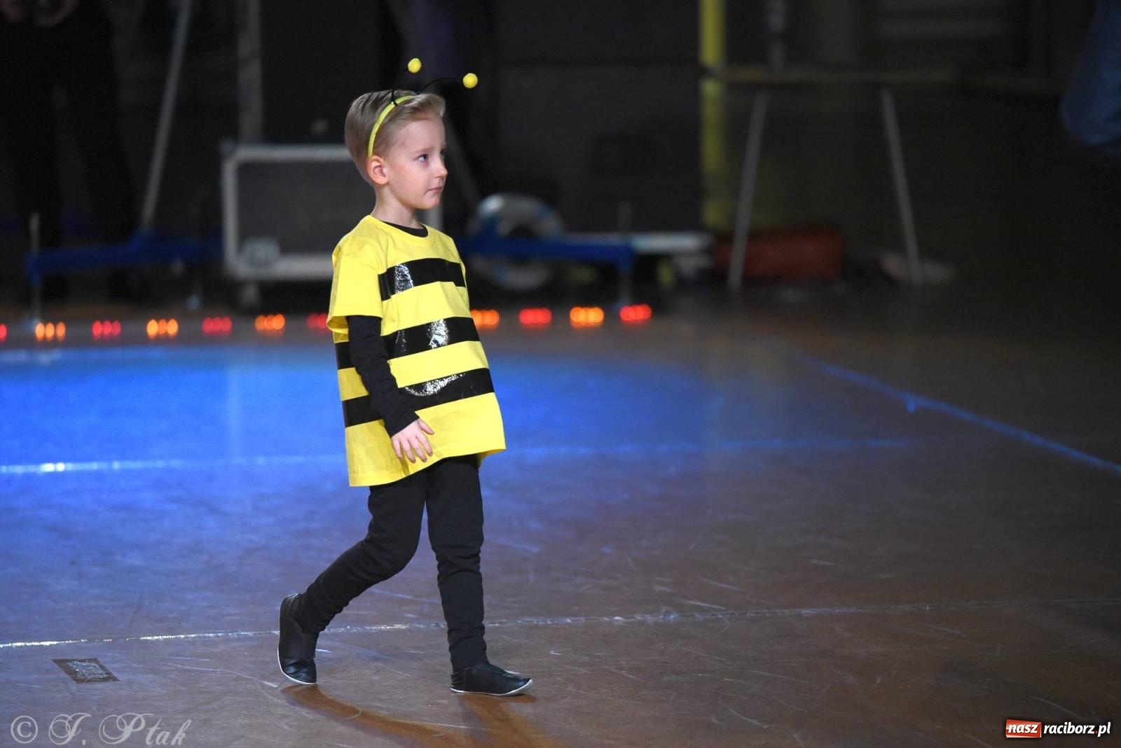 Zdjęcie w galerii na portalu naszraciborz.pl: XVI Karnawałowa Rewia Tańca w Raciborzu [FOTO i WIDEO] wiadomości z regionu