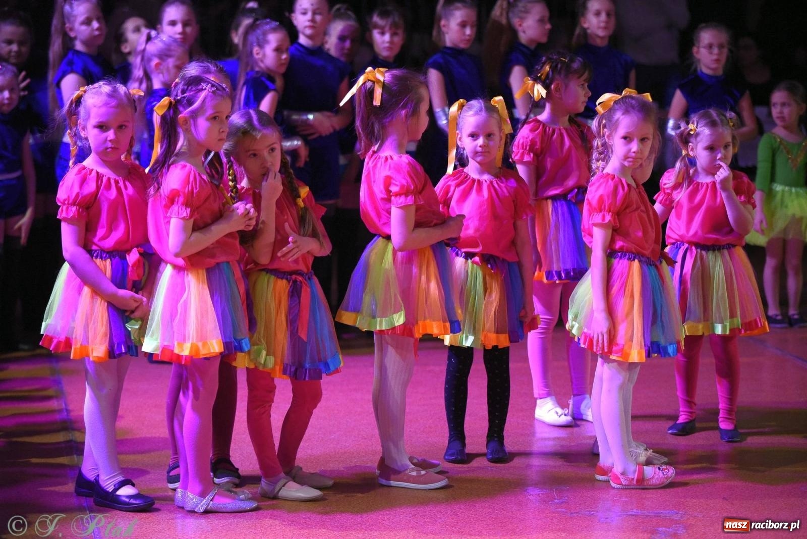 Zdjęcie w galerii na portalu naszraciborz.pl: XVI Karnawałowa Rewia Tańca w Raciborzu - dzień drugi [FOTO i WIDEO] wiadomości z regionu