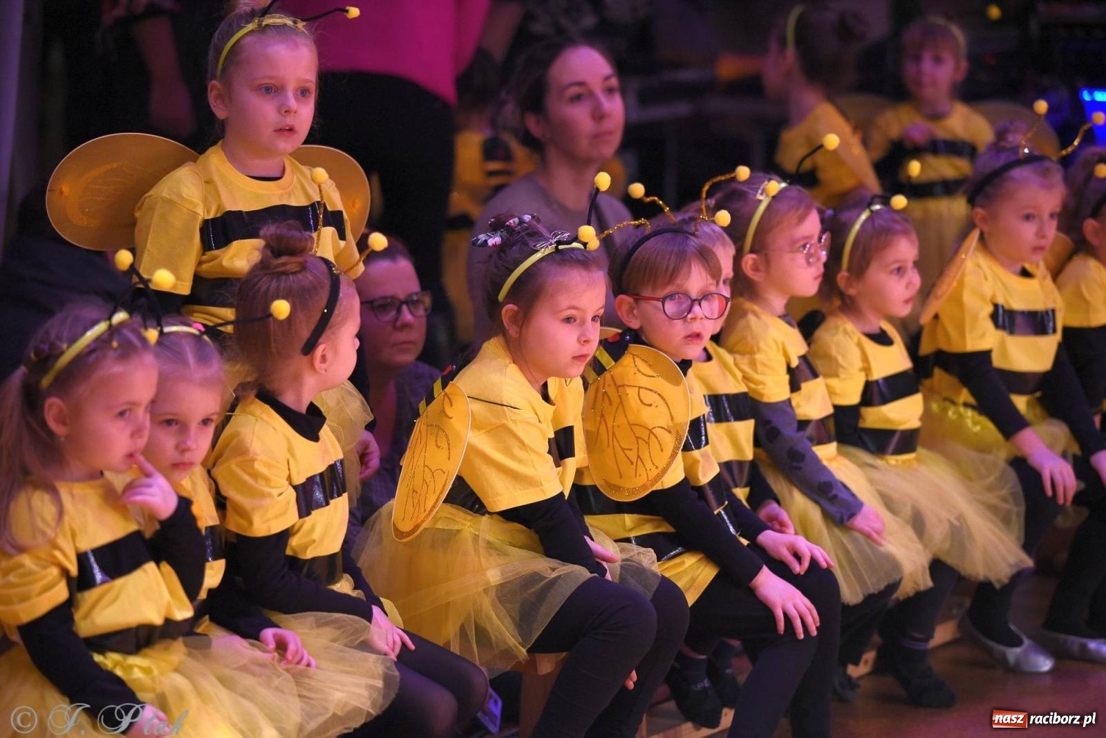 Zdjęcie w galerii na portalu naszraciborz.pl: XVI Karnawałowa Rewia Tańca w Raciborzu - dzień drugi [FOTO i WIDEO] wiadomości z regionu