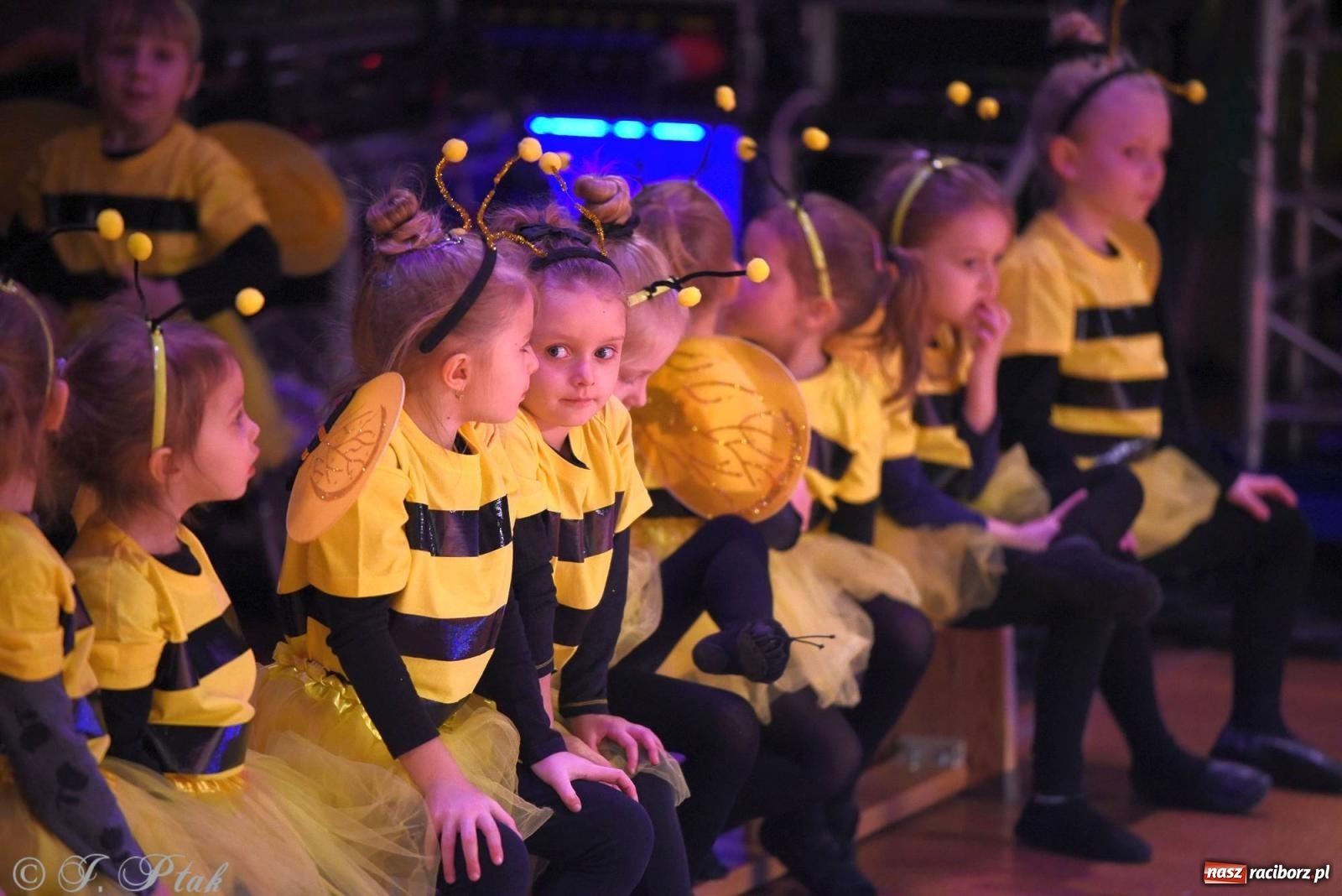Zdjęcie w galerii na portalu naszraciborz.pl: XVI Karnawałowa Rewia Tańca w Raciborzu - dzień drugi [FOTO i WIDEO] wiadomości z regionu