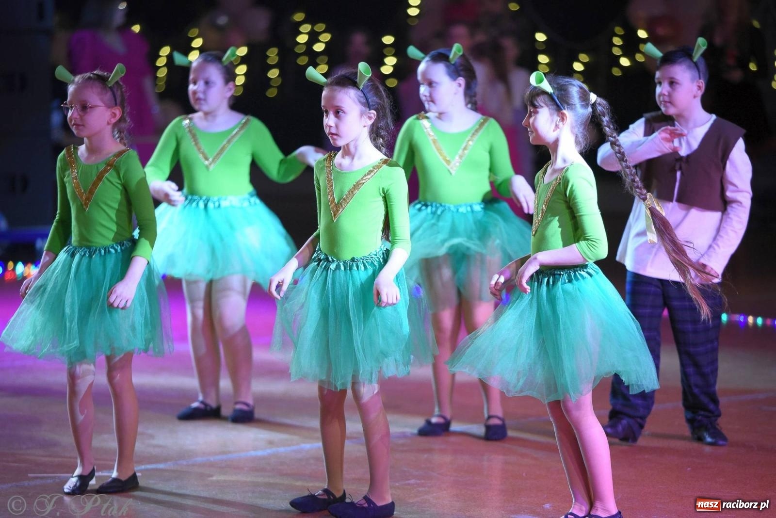 Zdjęcie w galerii na portalu naszraciborz.pl: XVI Karnawałowa Rewia Tańca w Raciborzu - dzień drugi [FOTO i WIDEO] wiadomości z regionu